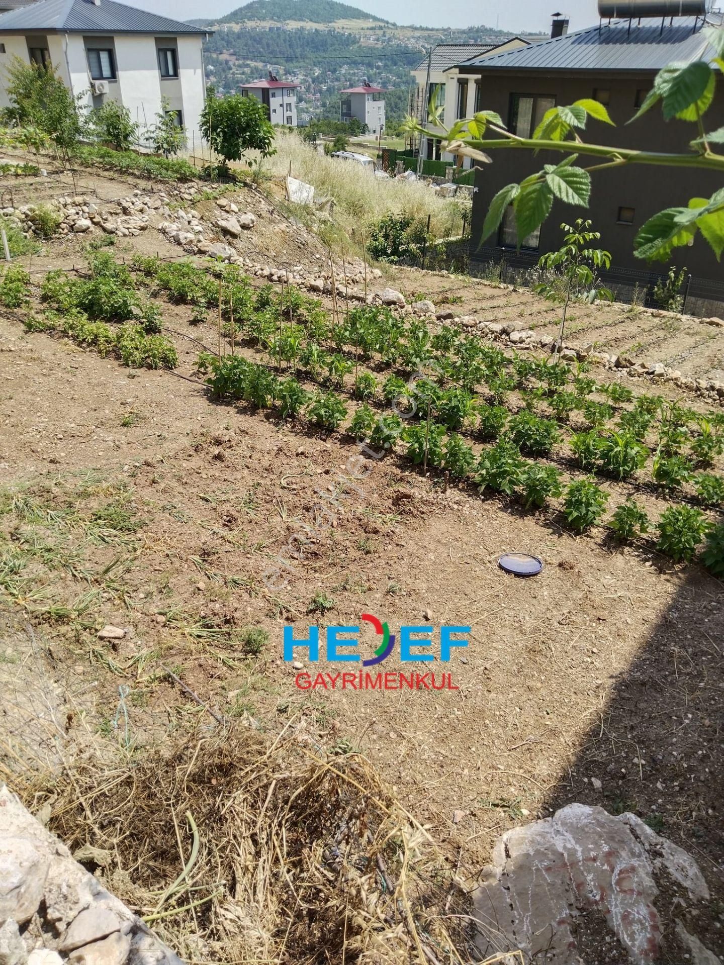 Hedef'ten Soğucak Belenkeşlik Civarı Satılık Arsa - Görsel 4