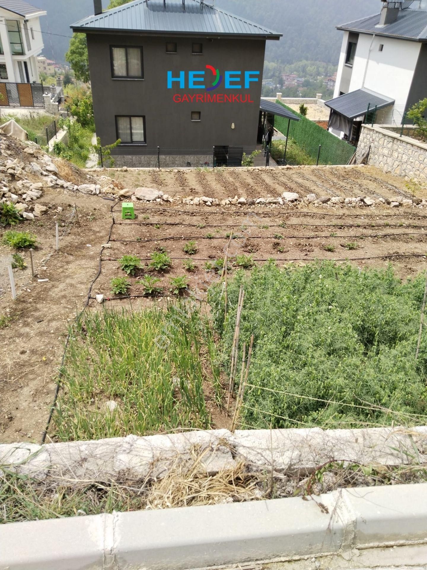 Hedef'ten Soğucak Belenkeşlik Civarı Satılık Arsa - Görsel 6