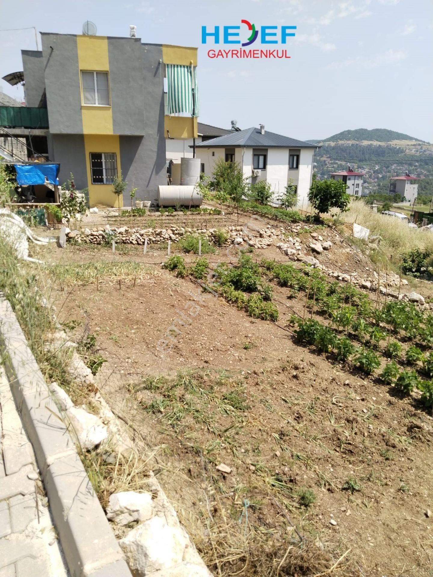 Hedef'ten Soğucak Belenkeşlik Civarı Satılık Arsa - Görsel 2