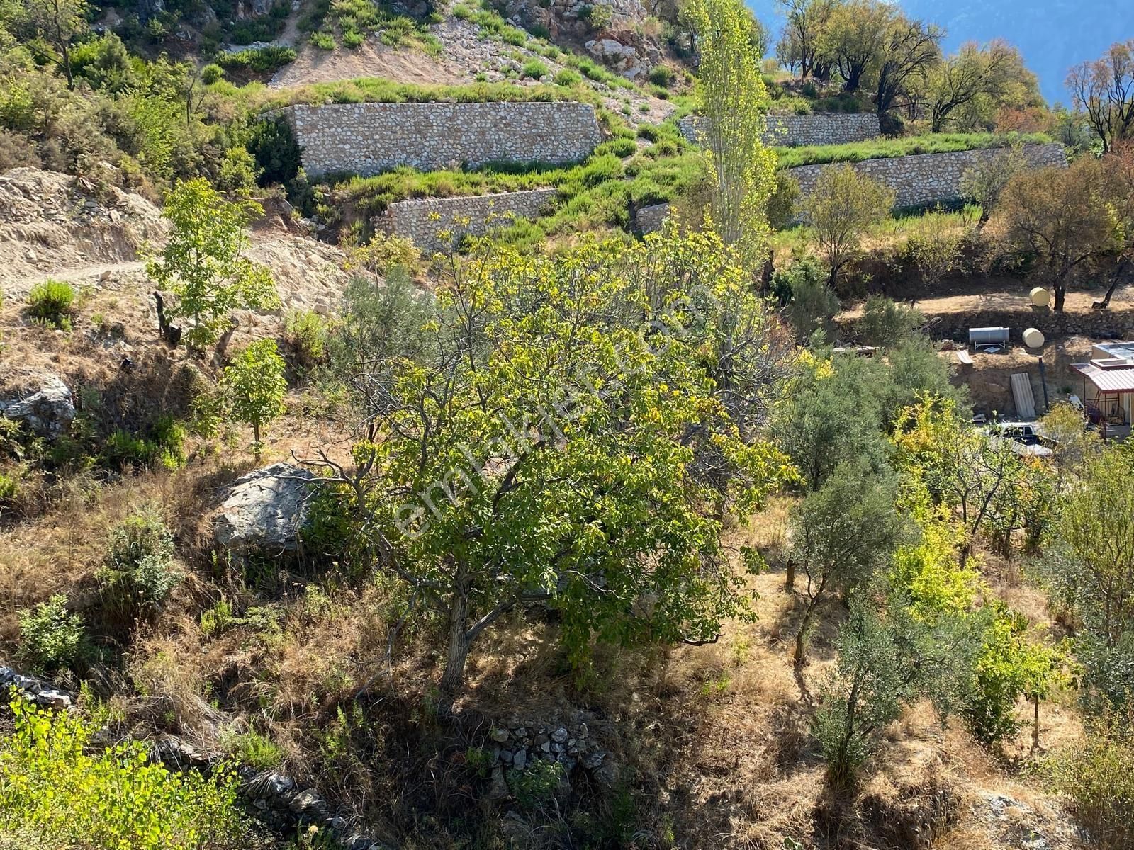 Alanya Bademağacı Mahallesi Satılık 1100m2 Tarla - Görsel 10