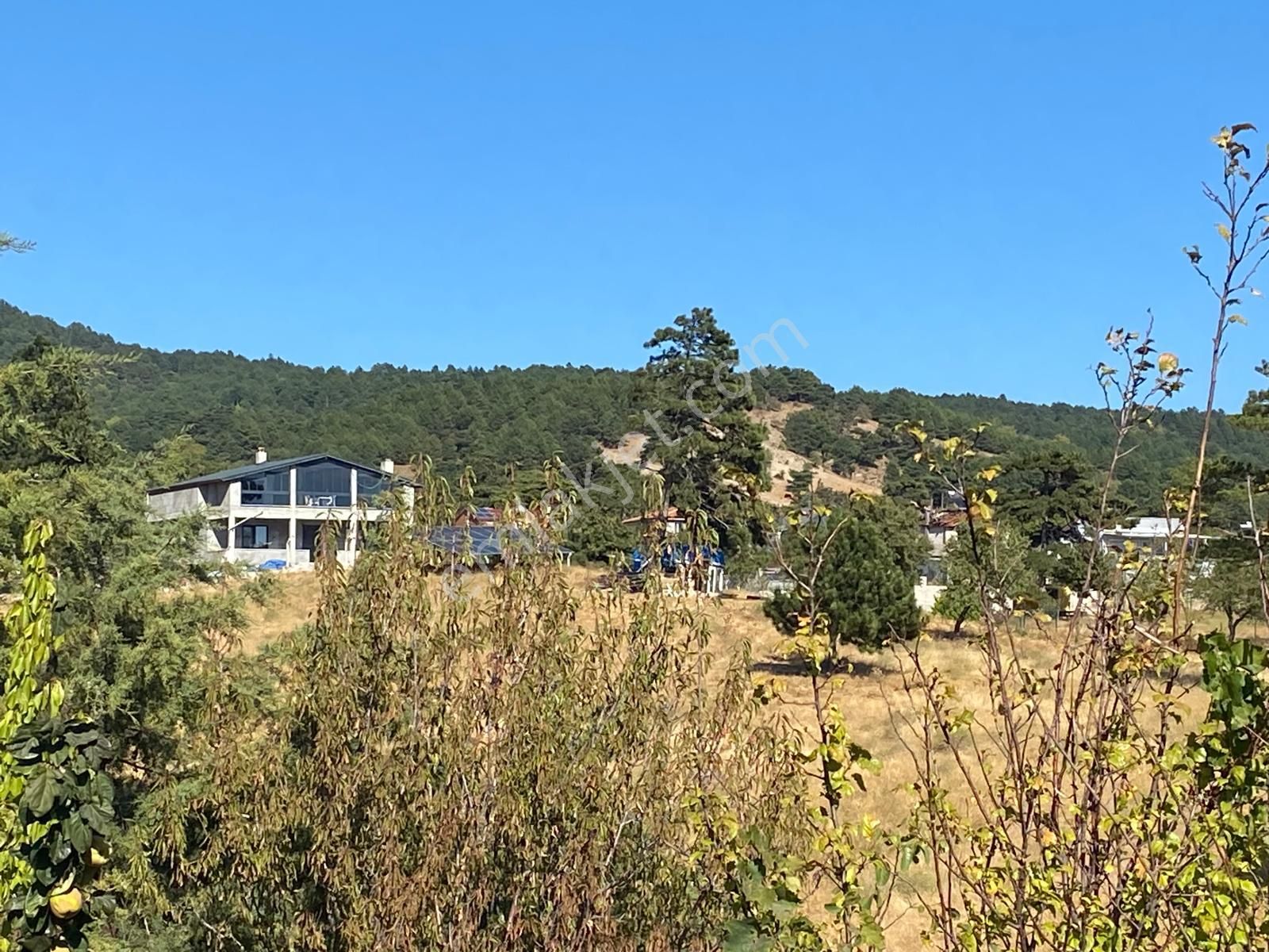 Balıkesir Havran Kalabak Hanlar Da 4573 M2 İçinde Yapı Kayıtlı Dağ Evi Satılık - Görsel 17