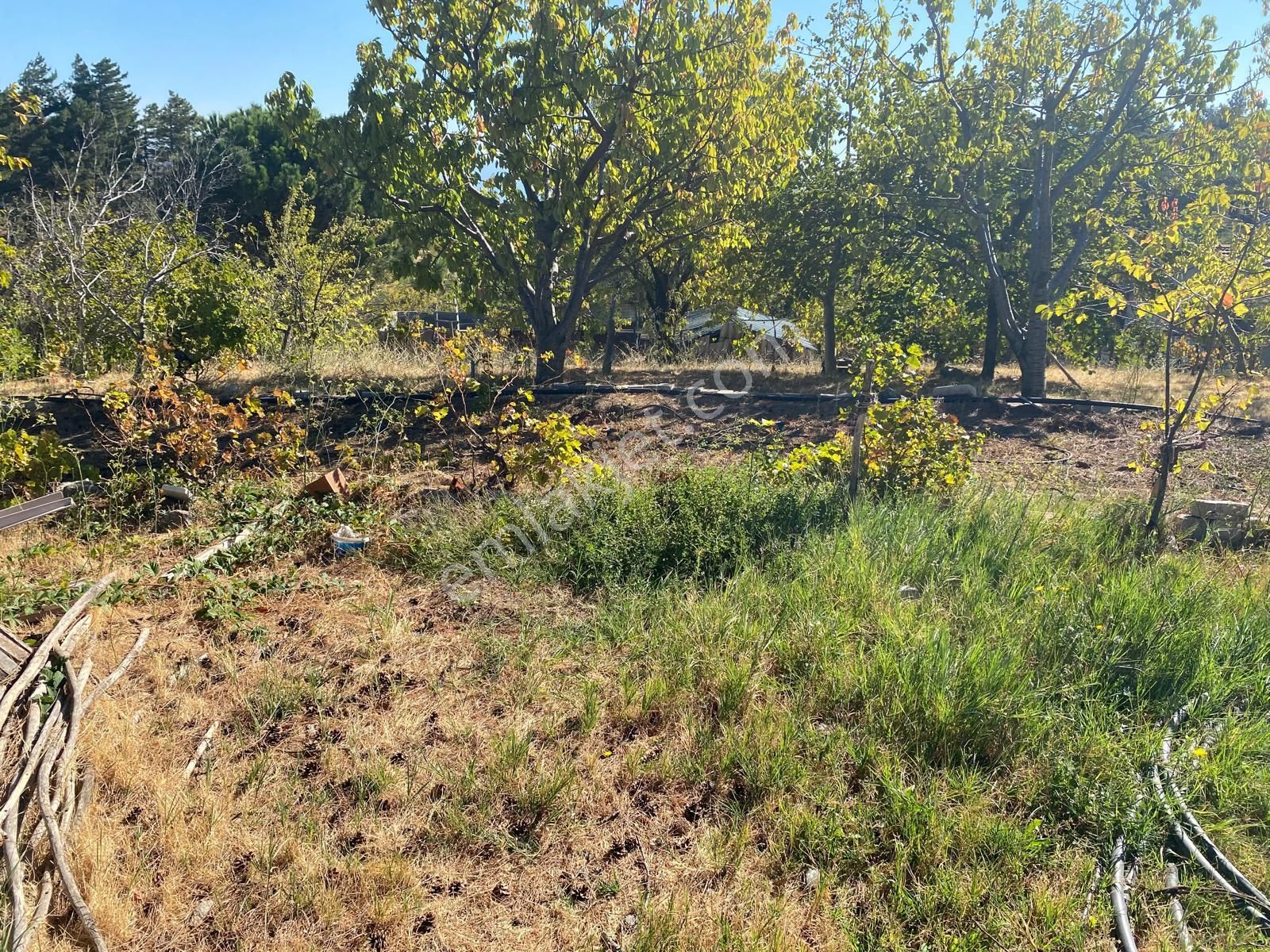 Balıkesir Havran Kalabak Hanlar Da 4573 M2 İçinde Yapı Kayıtlı Dağ Evi Satılık - Görsel 24