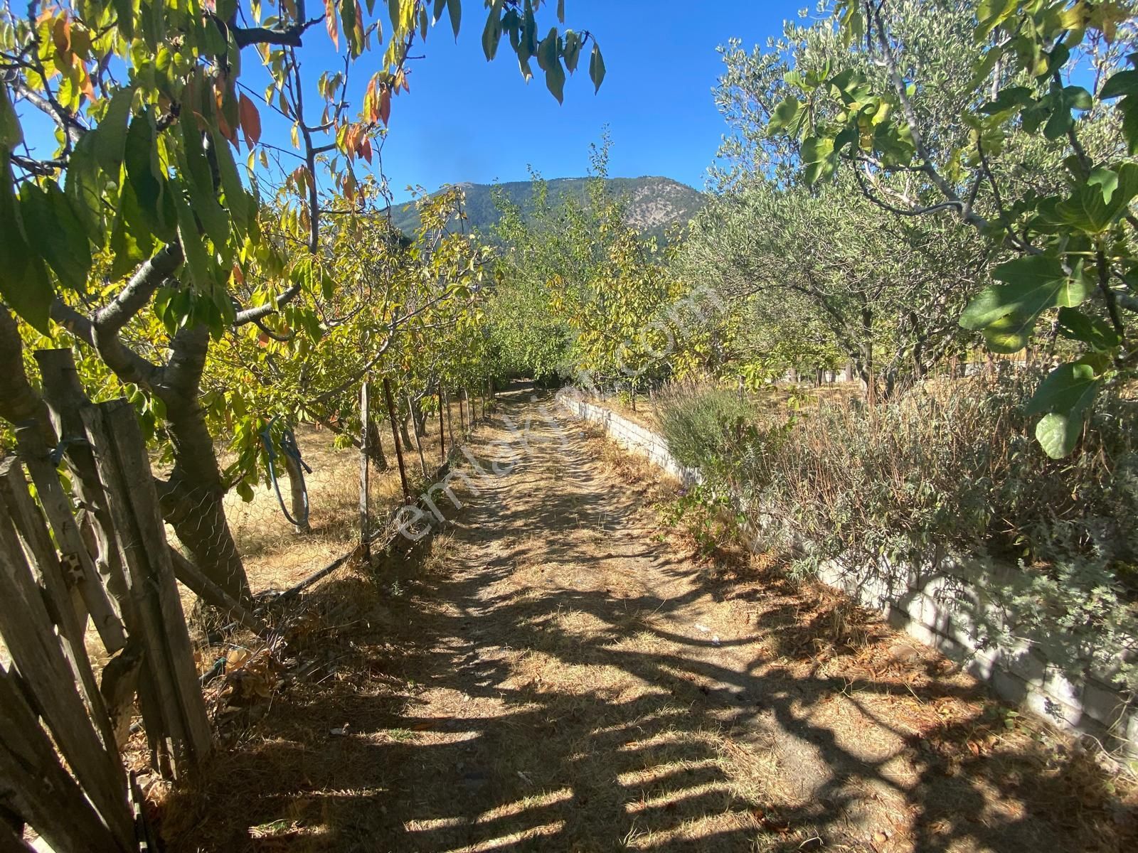 Balıkesir Havran Kalabak Hanlar Da 4573 M2 İçinde Yapı Kayıtlı Dağ Evi Satılık - Görsel 20