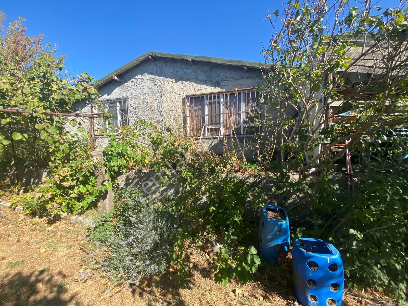 Balıkesir Havran Kalabak Hanlar Da 4573 M2 İçinde Yapı Kayıtlı Dağ Evi Satılık - Görsel 2