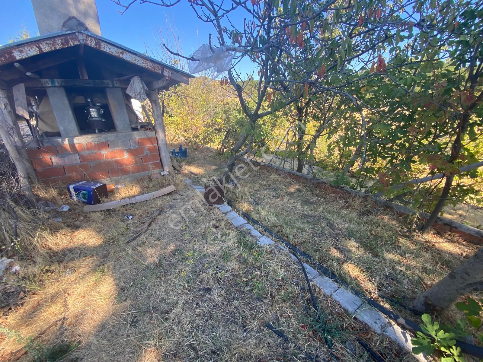 Balıkesir Havran Kalabak Hanlar Da 4573 M2 İçinde Yapı Kayıtlı Dağ Evi Satılık - Görsel 4