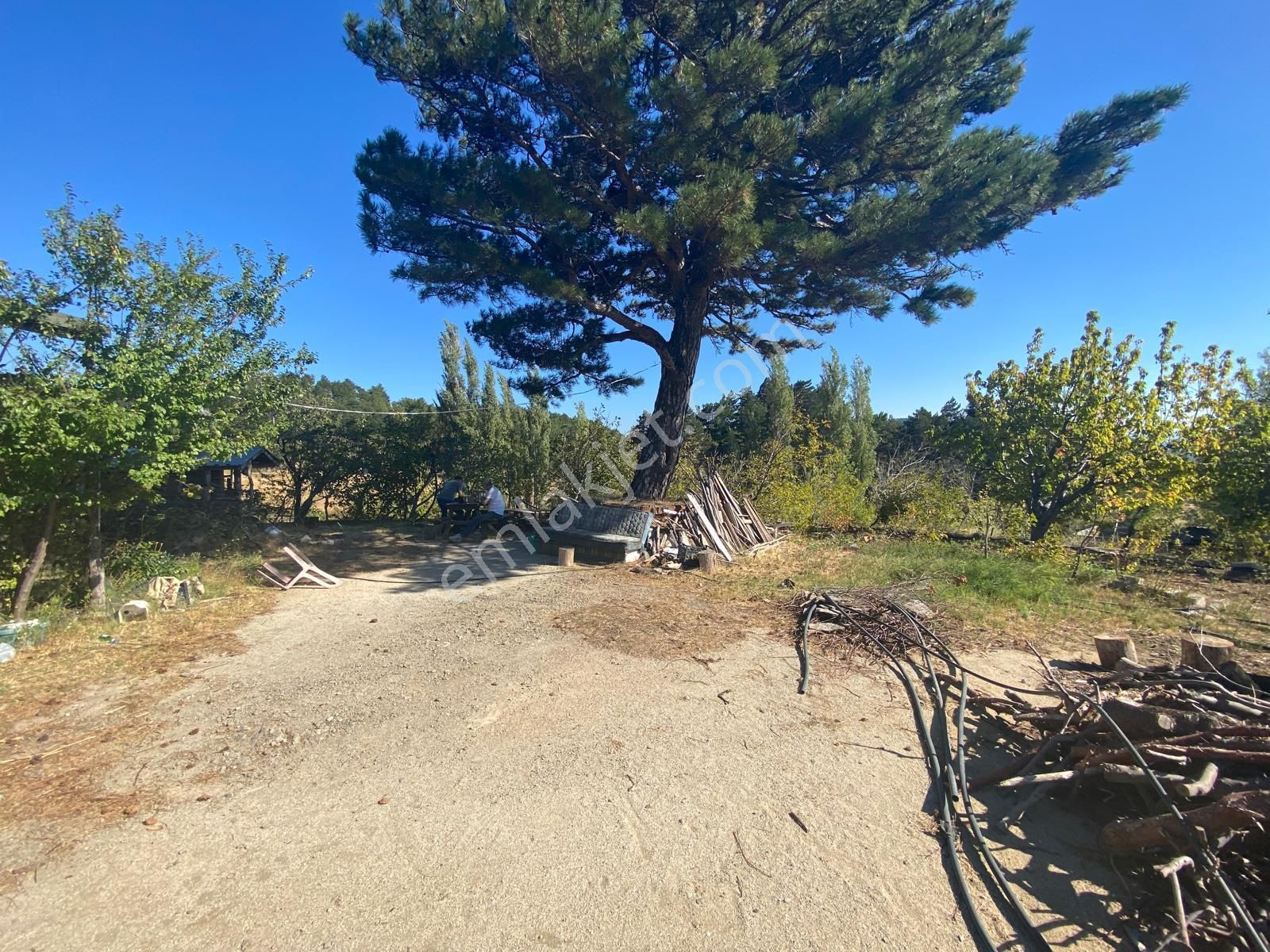 Balıkesir Havran Kalabak Hanlar Da 4573 M2 İçinde Yapı Kayıtlı Dağ Evi Satılık - Görsel 28