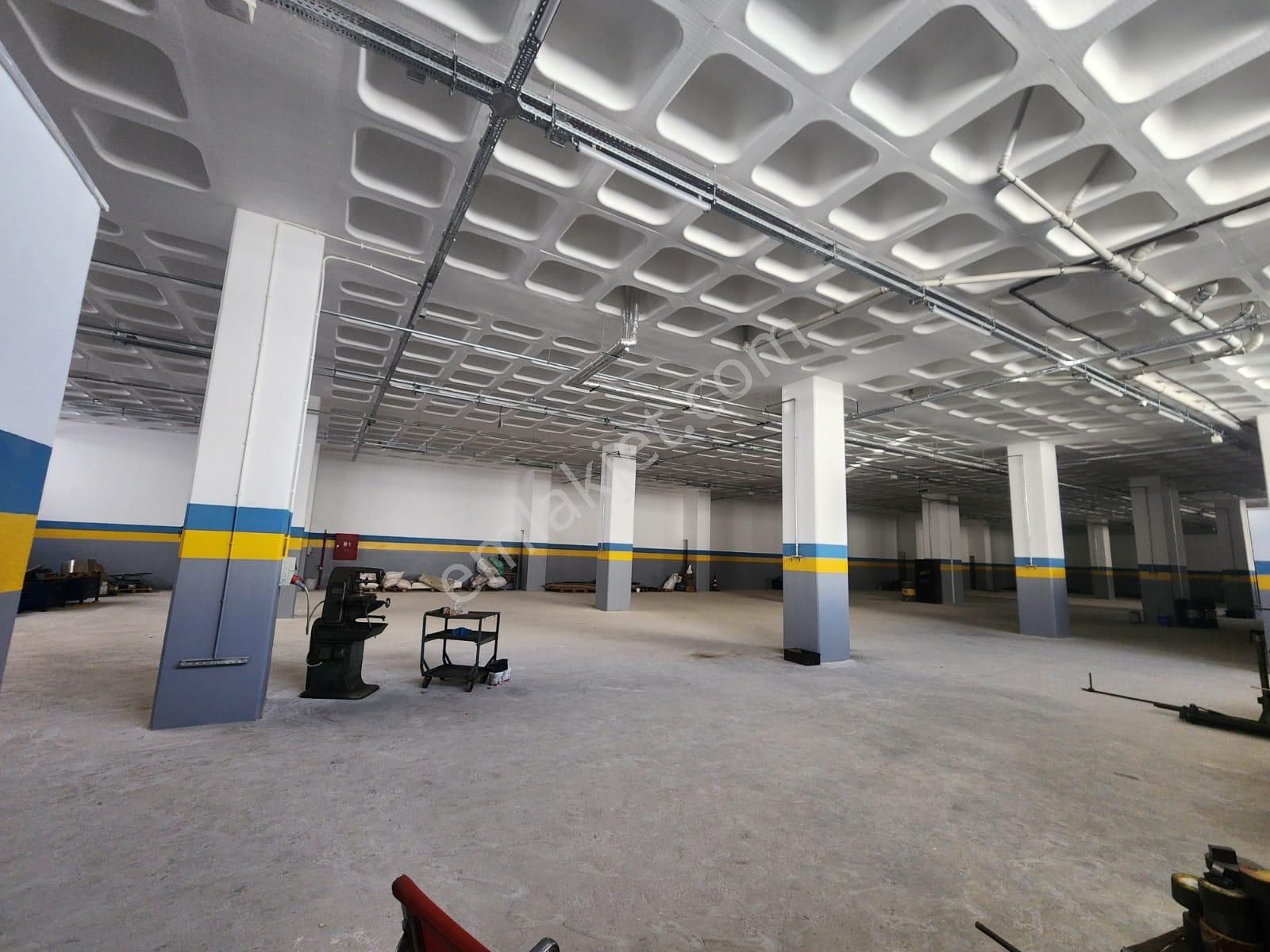 Silivri Selimpaşa Kiralık Fabrika & Üretim Tesisi - Görsel 19