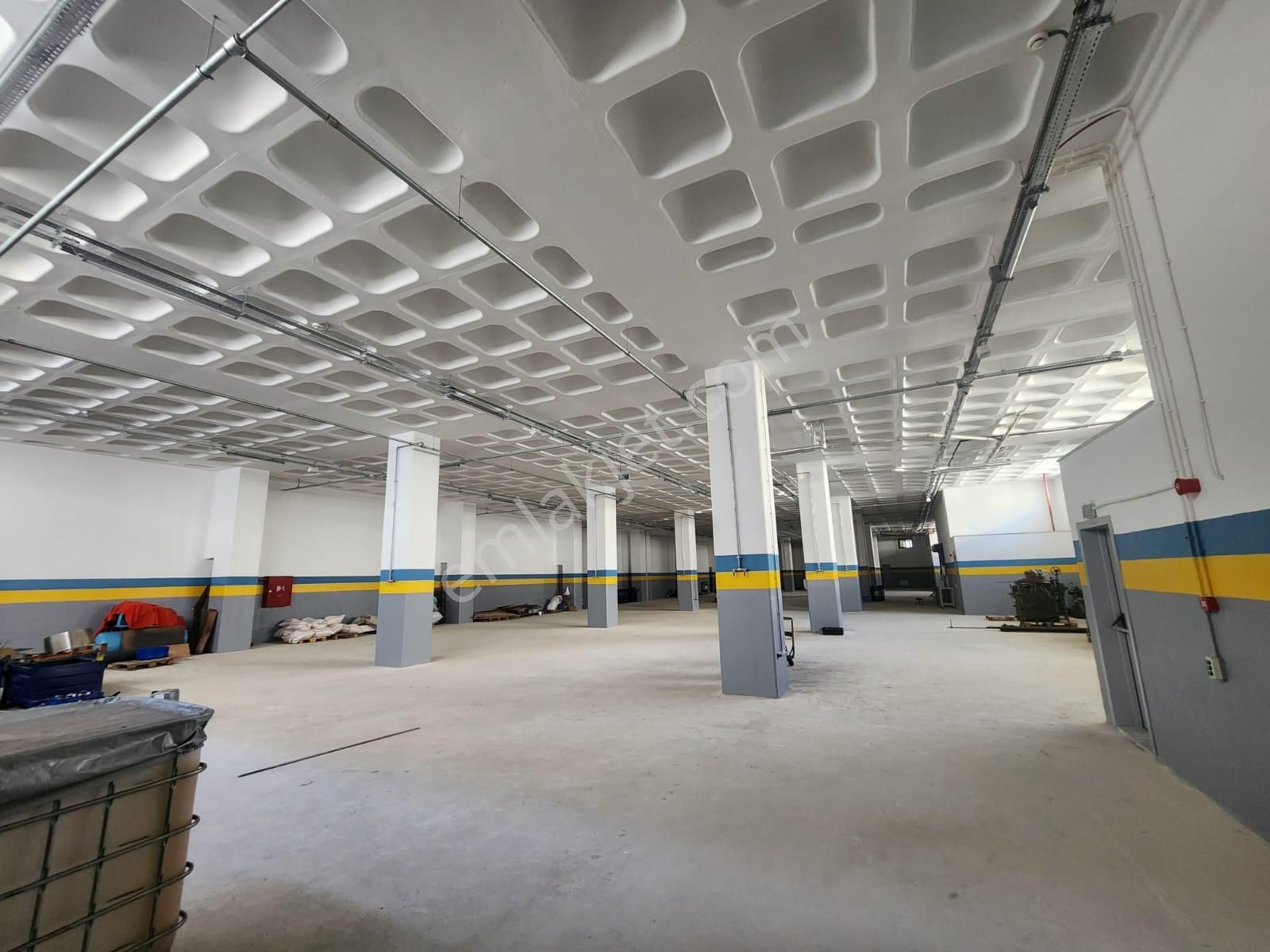 Silivri Selimpaşa Kiralık Fabrika & Üretim Tesisi - Görsel 18