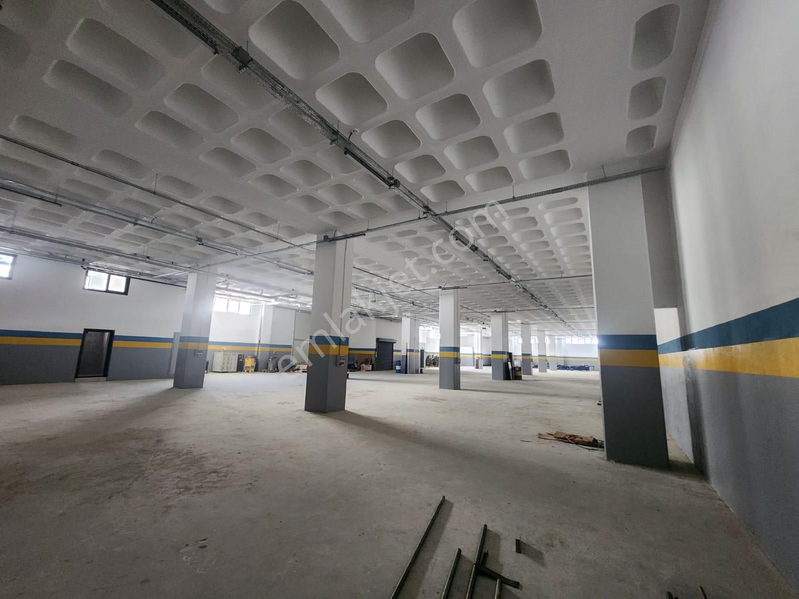 Silivri Selimpaşa Kiralık Fabrika & Üretim Tesisi - Görsel 22