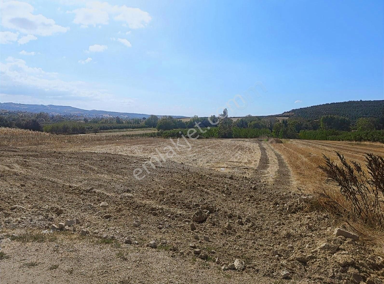 Mudanya Orhaniyede Asfalt Yola Cephe Yatırımlık Arazi