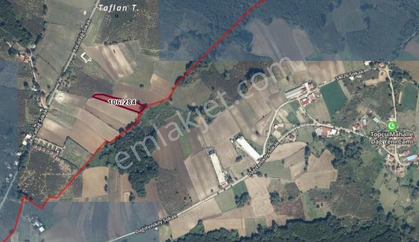 Sakarya-kaynarca-karaçalıda 3.530 M2 - Görsel 10