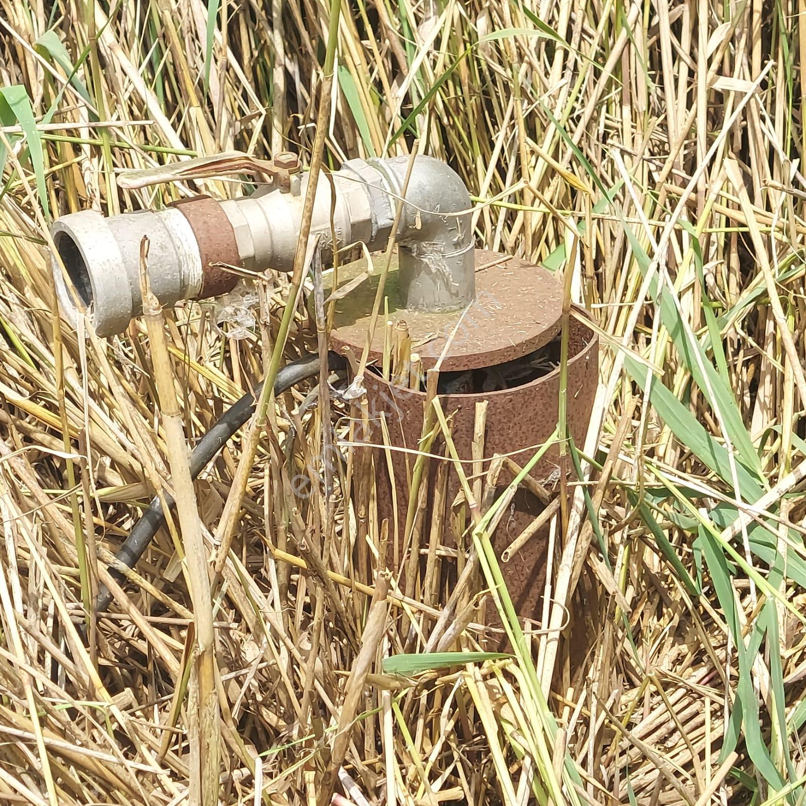 Tekirdağ Hayrabolu Aydınlarda 20.400 M2 Arazi - Görsel 11
