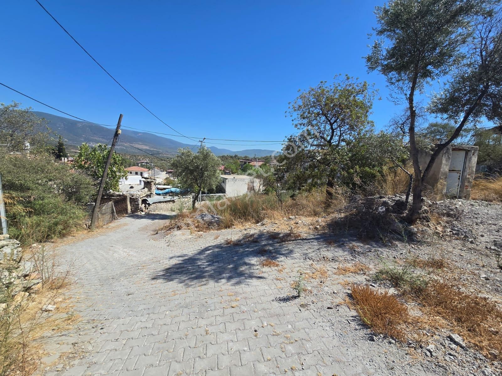 Satılık Kargir Ev Ve Avlusu 629 M² Arsa Muğla/milas/bozbük - Görsel 10