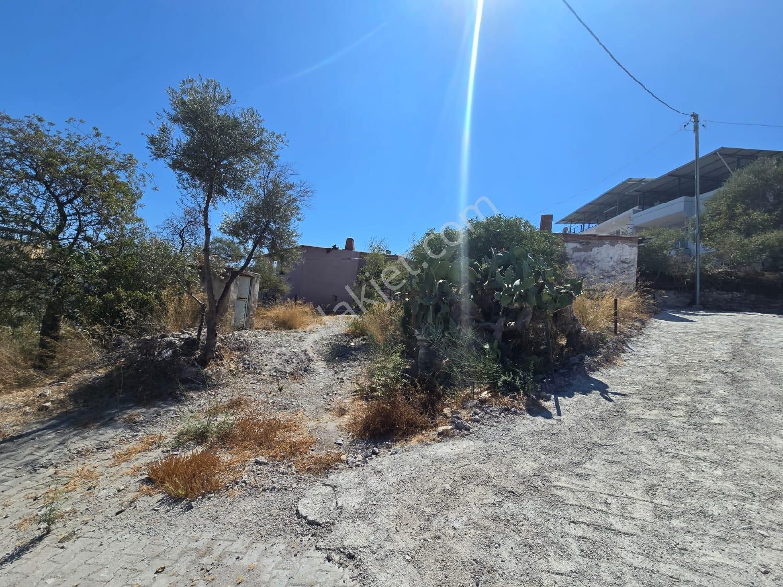 Satılık Kargir Ev Ve Avlusu 629 M² Arsa Muğla/milas/bozbük - Görsel 7