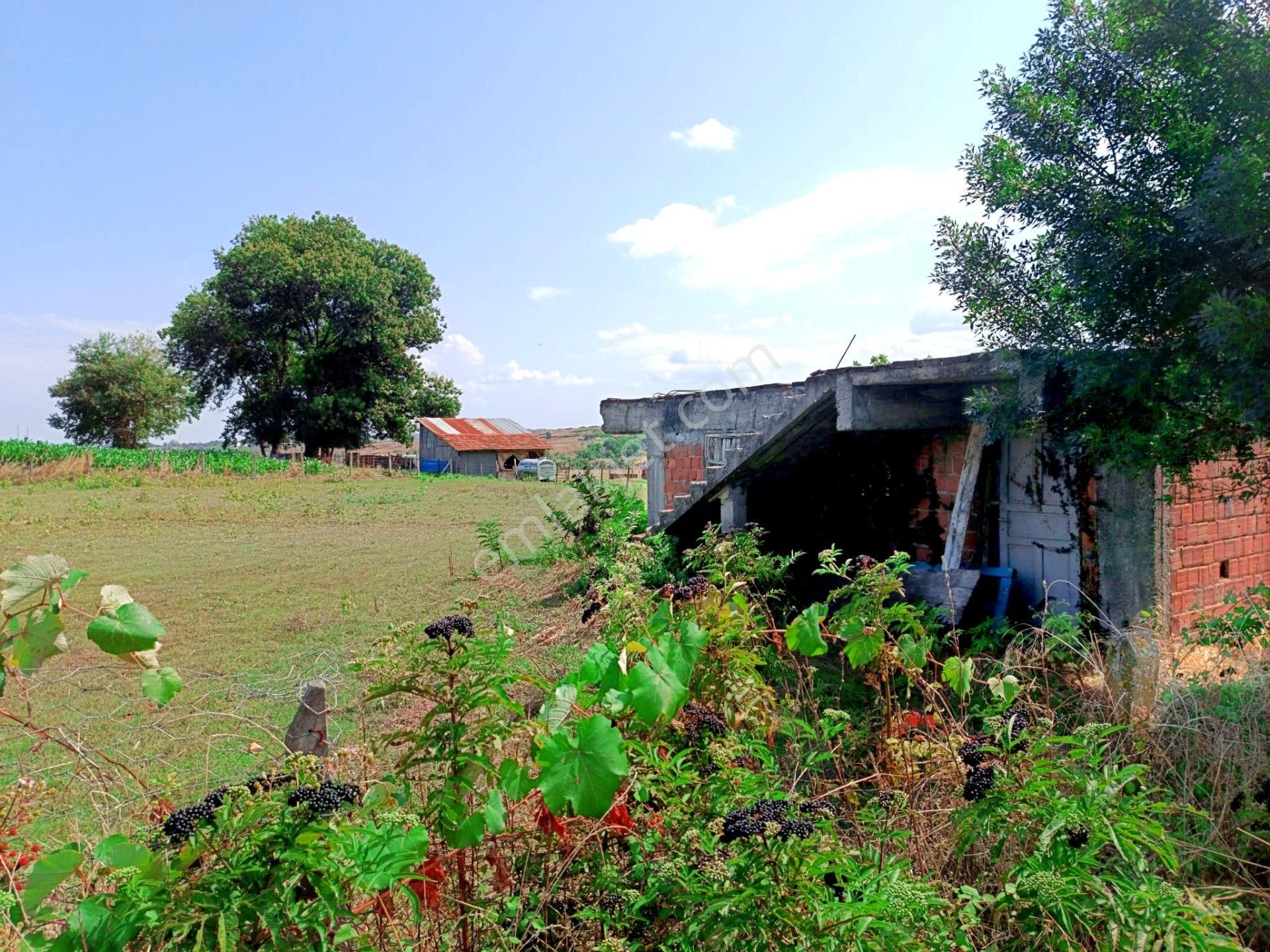 Lengerli Mah:de İçinde Ev Yapımına Müsait 1 Dönüm Arsamız Satılıktır.. - Görsel 7