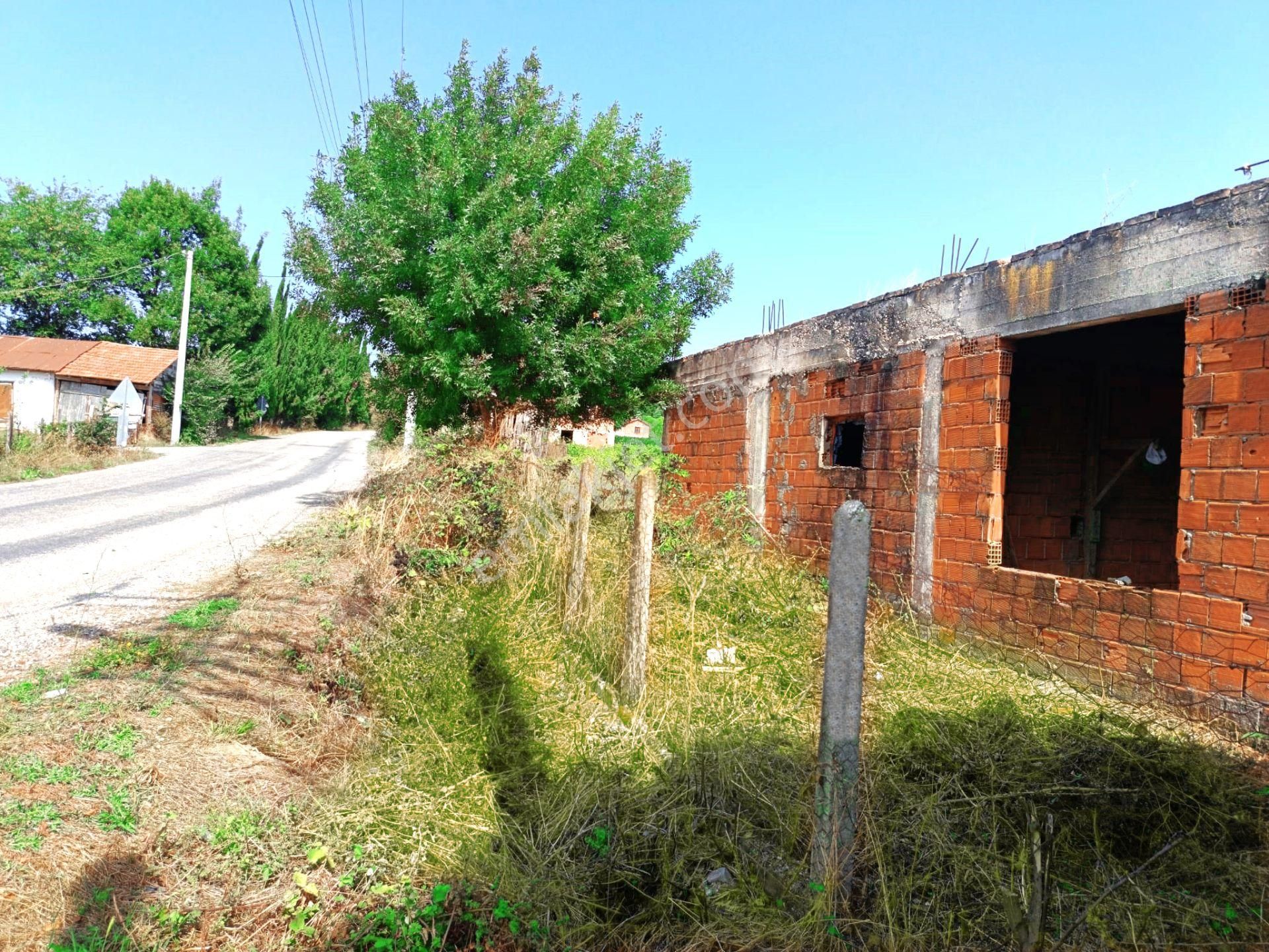 Lengerli Mah:de İçinde Ev Yapımına Müsait 1 Dönüm Arsamız Satılıktır.. - Görsel 8