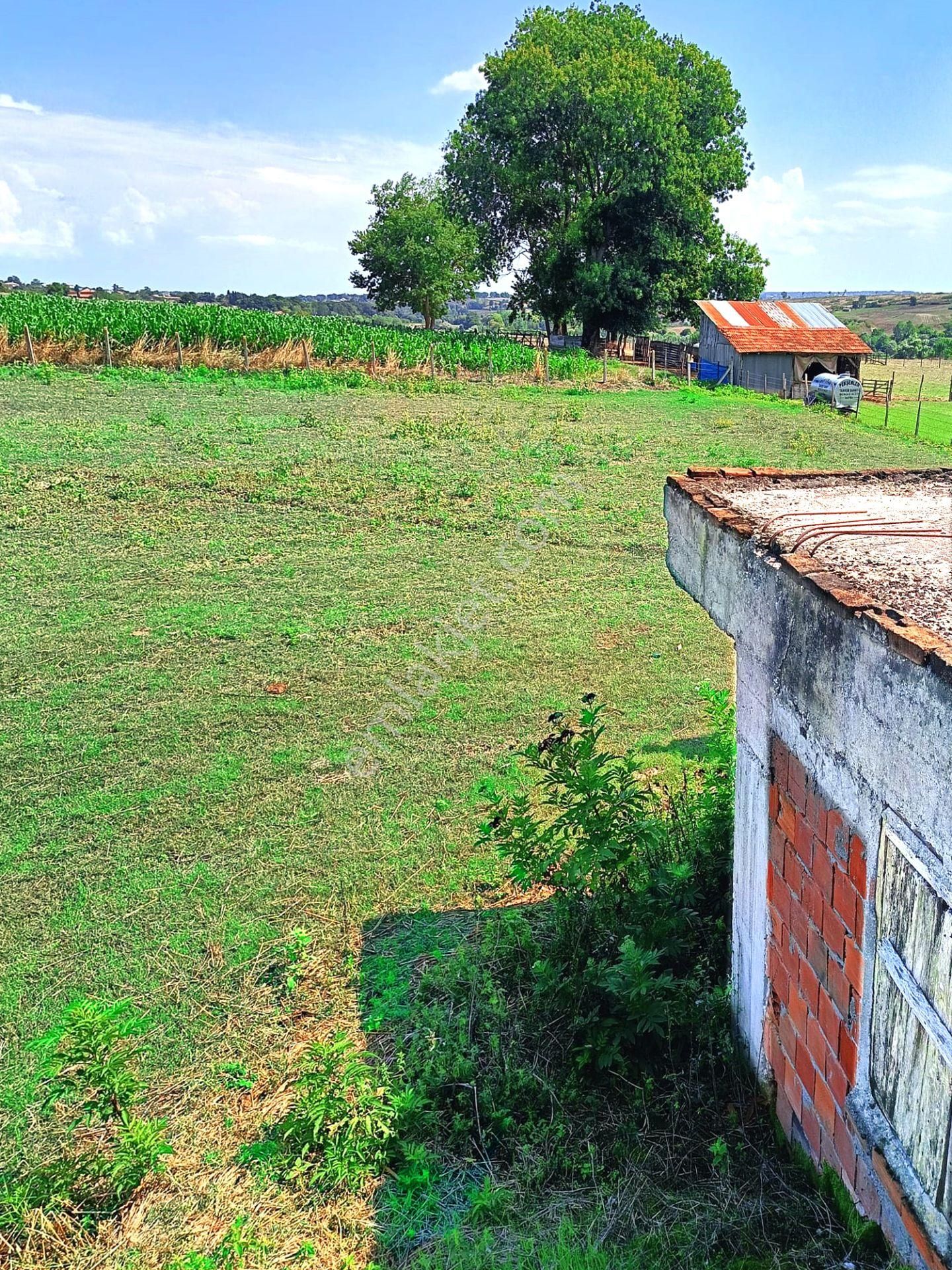 Lengerli Mah:de İçinde Ev Yapımına Müsait 1 Dönüm Arsamız Satılıktır.. - Görsel 3