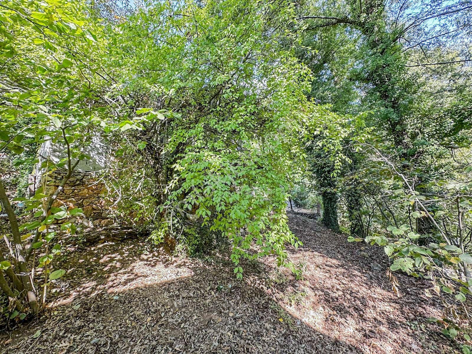 Alanya Gedevet Yaylası'nda Satılık Taş Ev Ve Hobi Bahçesi - Görsel 5