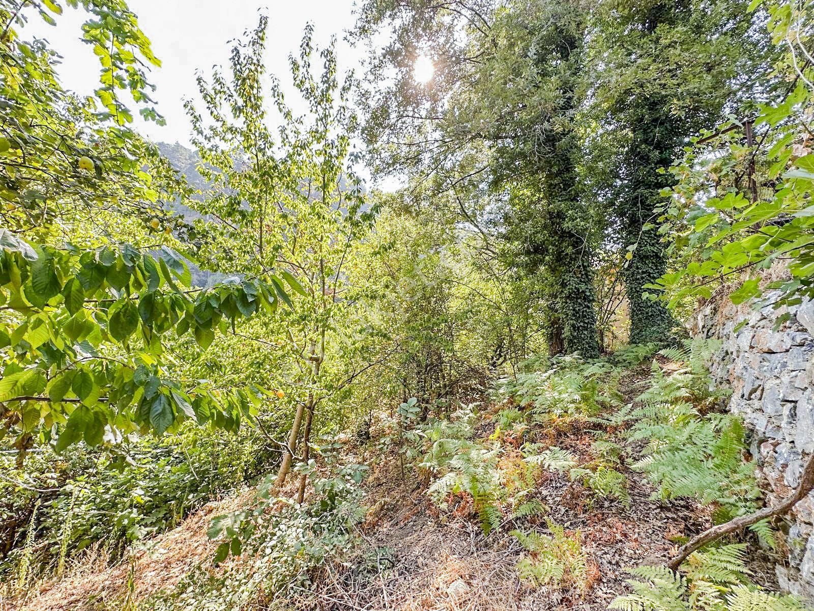 Alanya Gedevet Yaylası'nda Satılık Taş Ev Ve Hobi Bahçesi - Görsel 10