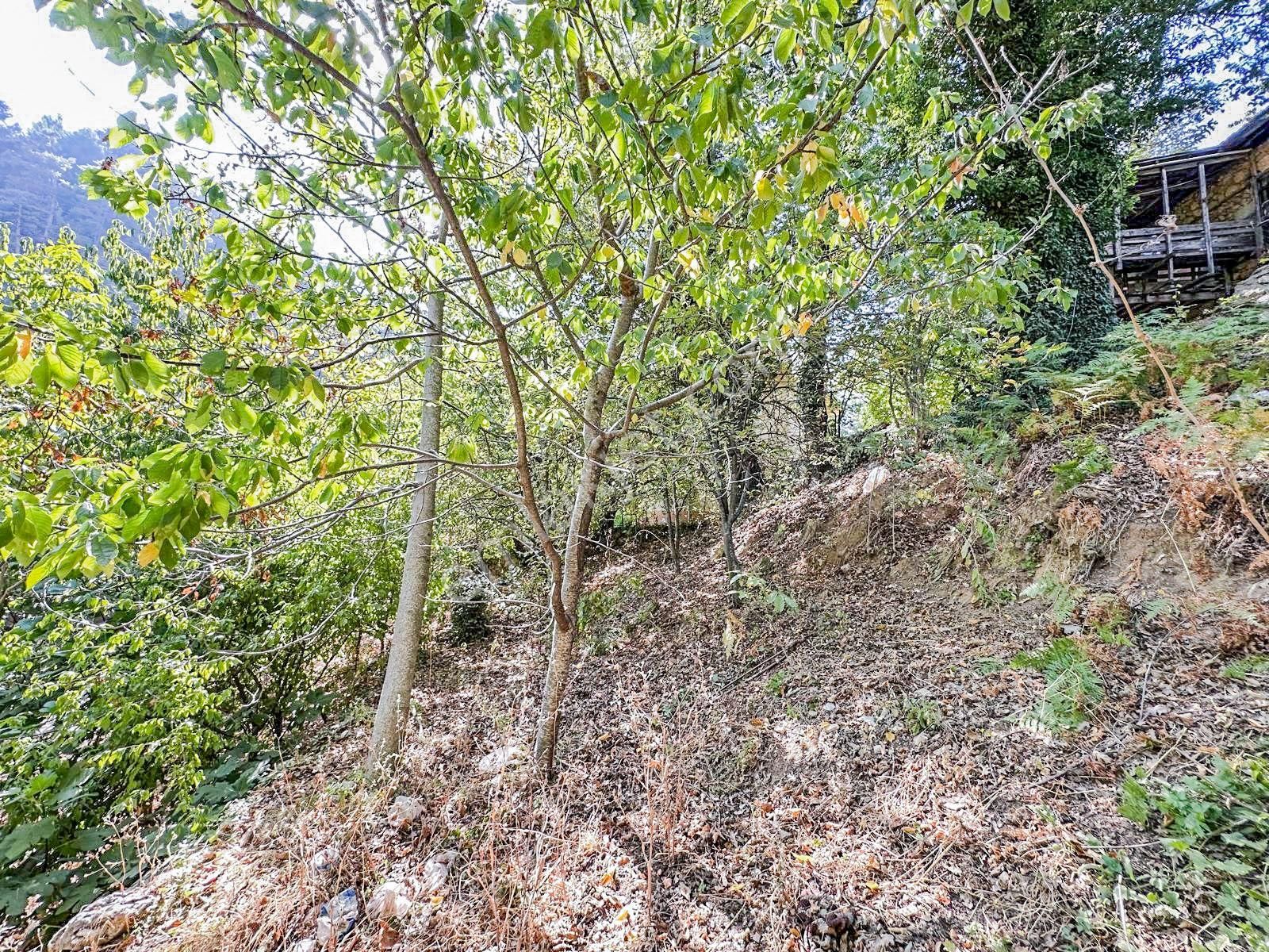 Alanya Gedevet Yaylası'nda Satılık Taş Ev Ve Hobi Bahçesi - Görsel 3