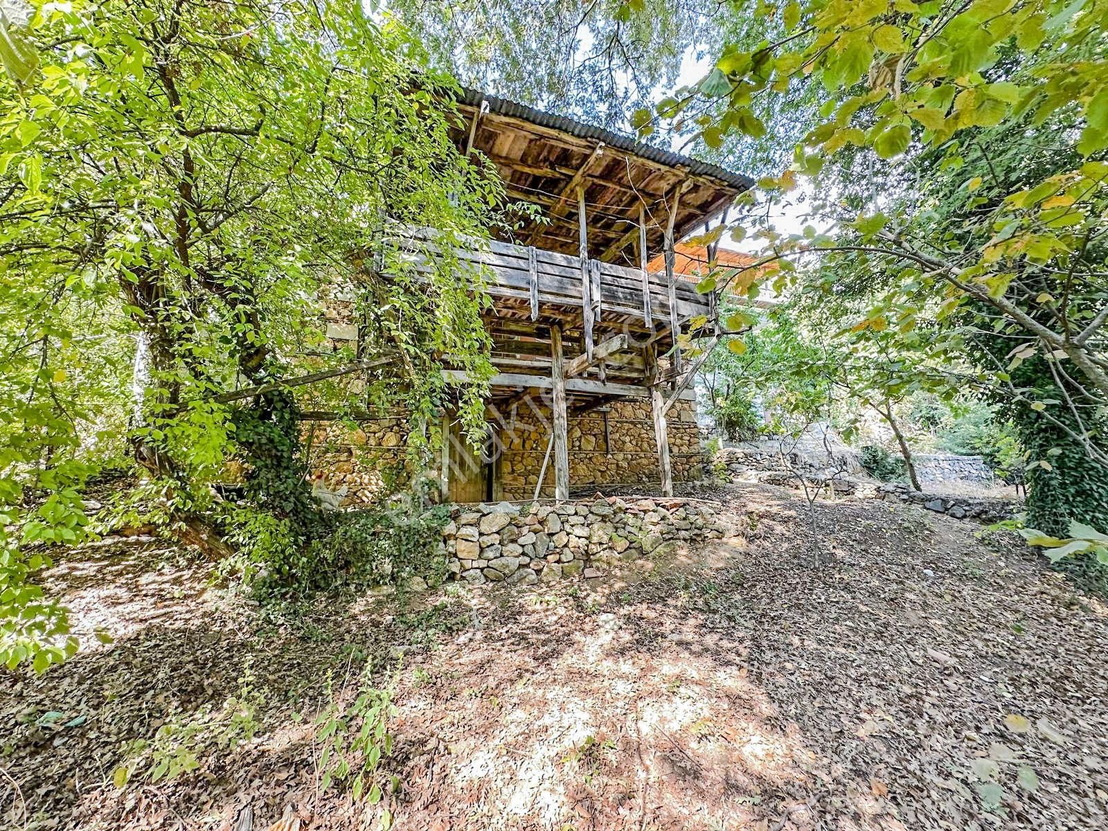 Alanya Gedevet Yaylası'nda Satılık Taş Ev Ve Hobi Bahçesi - Görsel 2