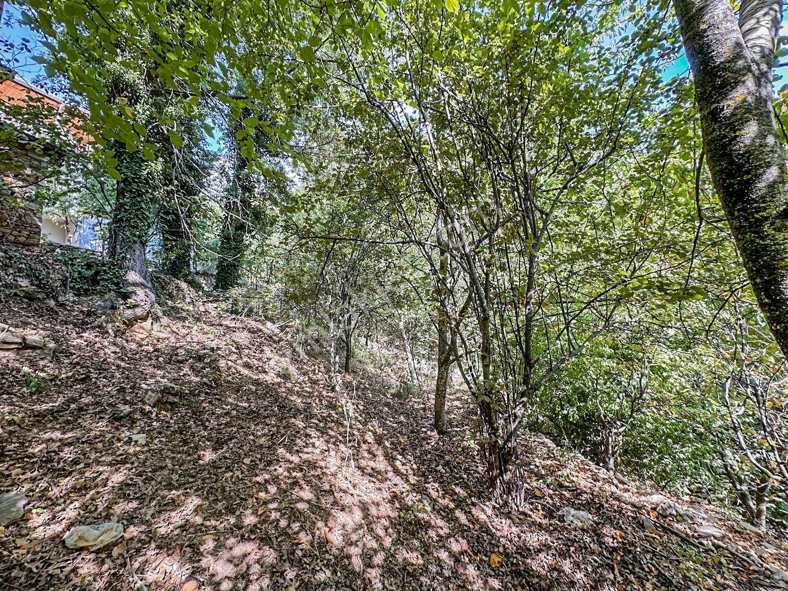 Alanya Gedevet Yaylası'nda Satılık Taş Ev Ve Hobi Bahçesi - Görsel 6