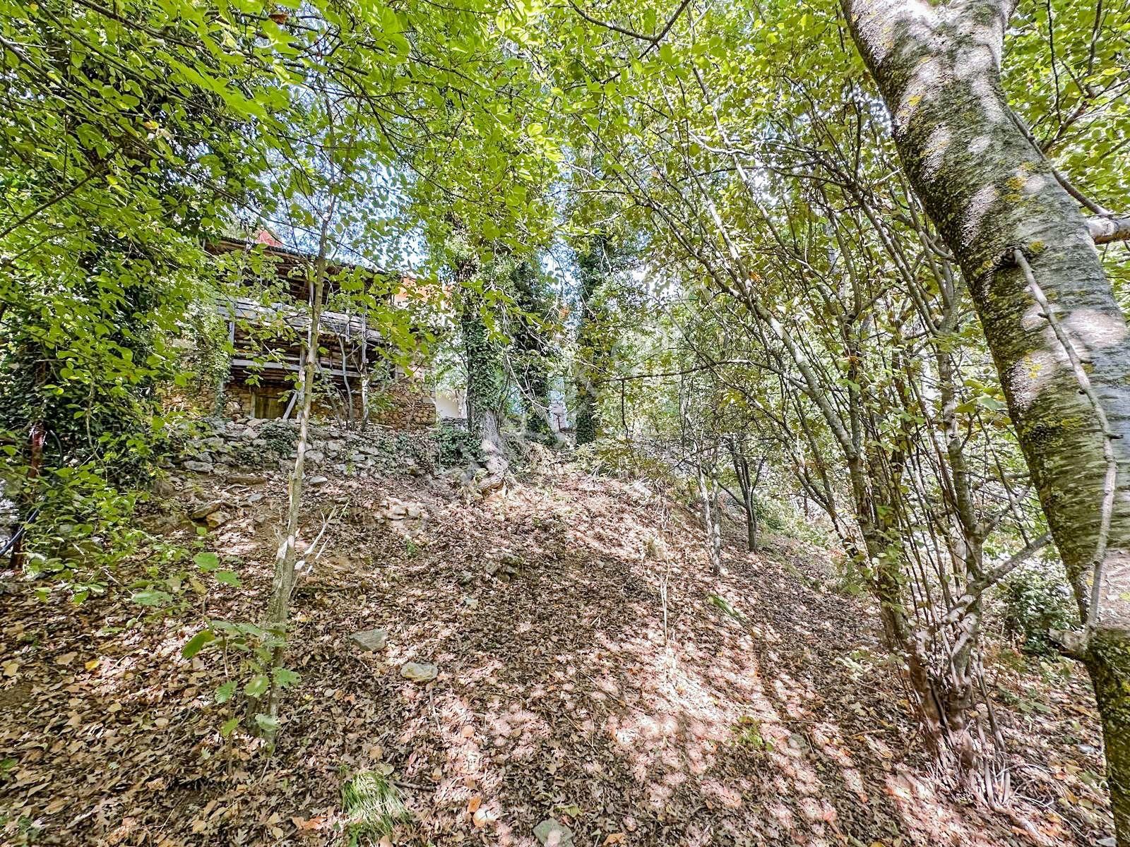 Alanya Gedevet Yaylası'nda Satılık Taş Ev Ve Hobi Bahçesi - Görsel 8