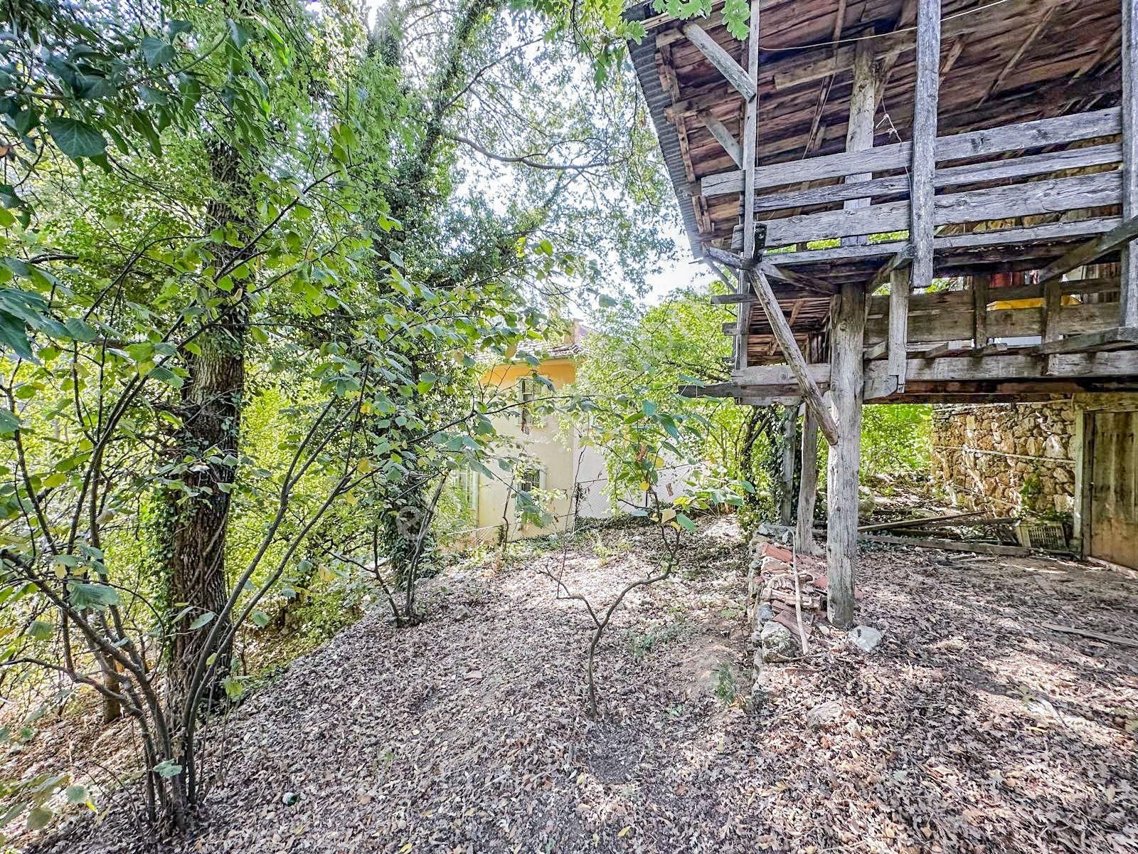 Alanya Gedevet Yaylası'nda Satılık Taş Ev Ve Hobi Bahçesi - Görsel 4