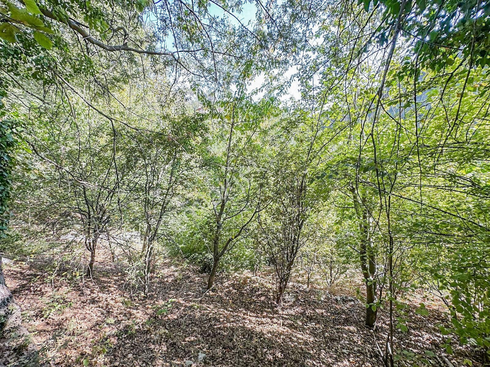 Alanya Gedevet Yaylası'nda Satılık Taş Ev Ve Hobi Bahçesi - Görsel 11