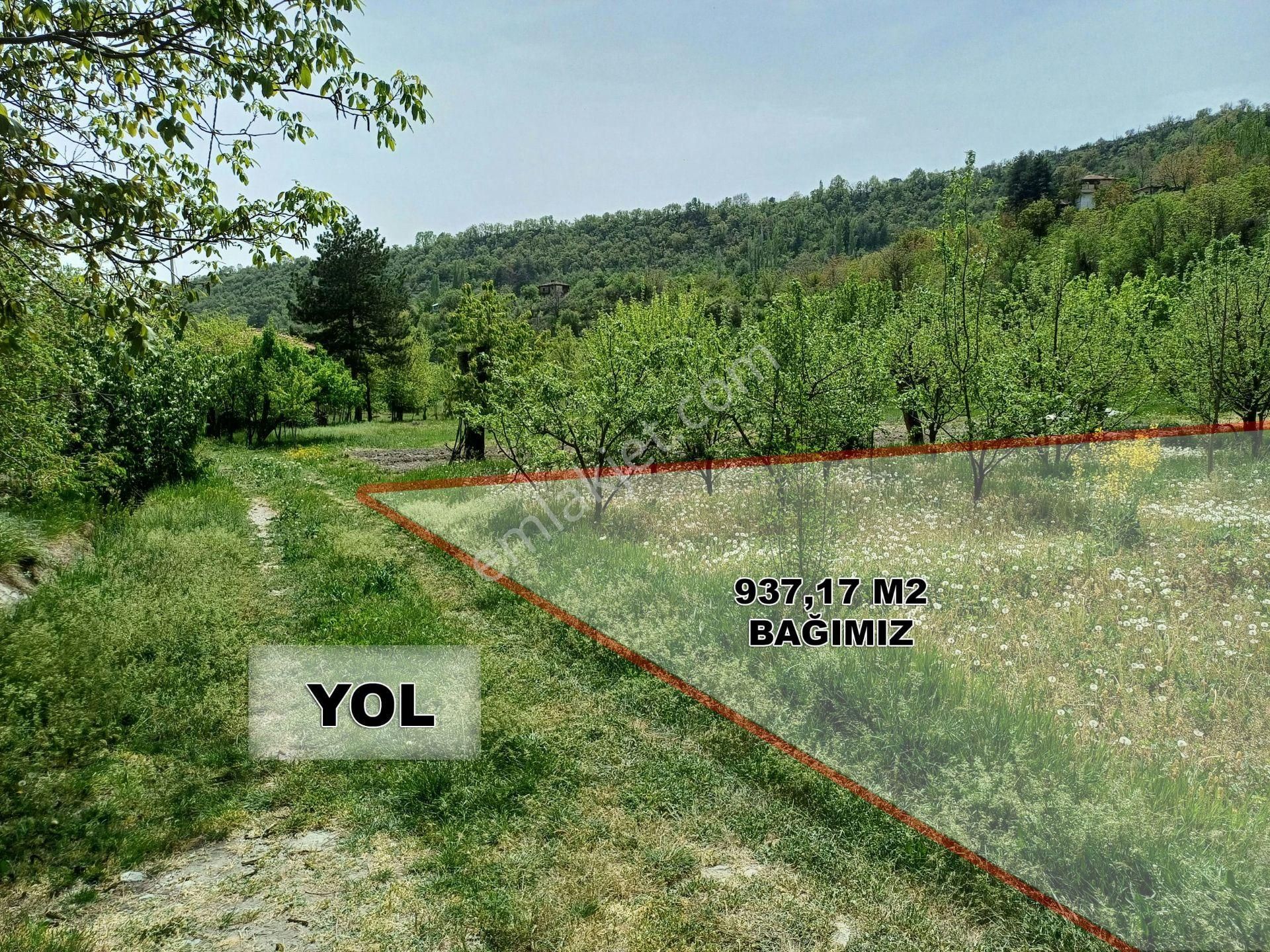 Kastamonu - Tosya Gökyer Mevkiinde Satılık 1,5 Dönüm Bağ - Görsel 5