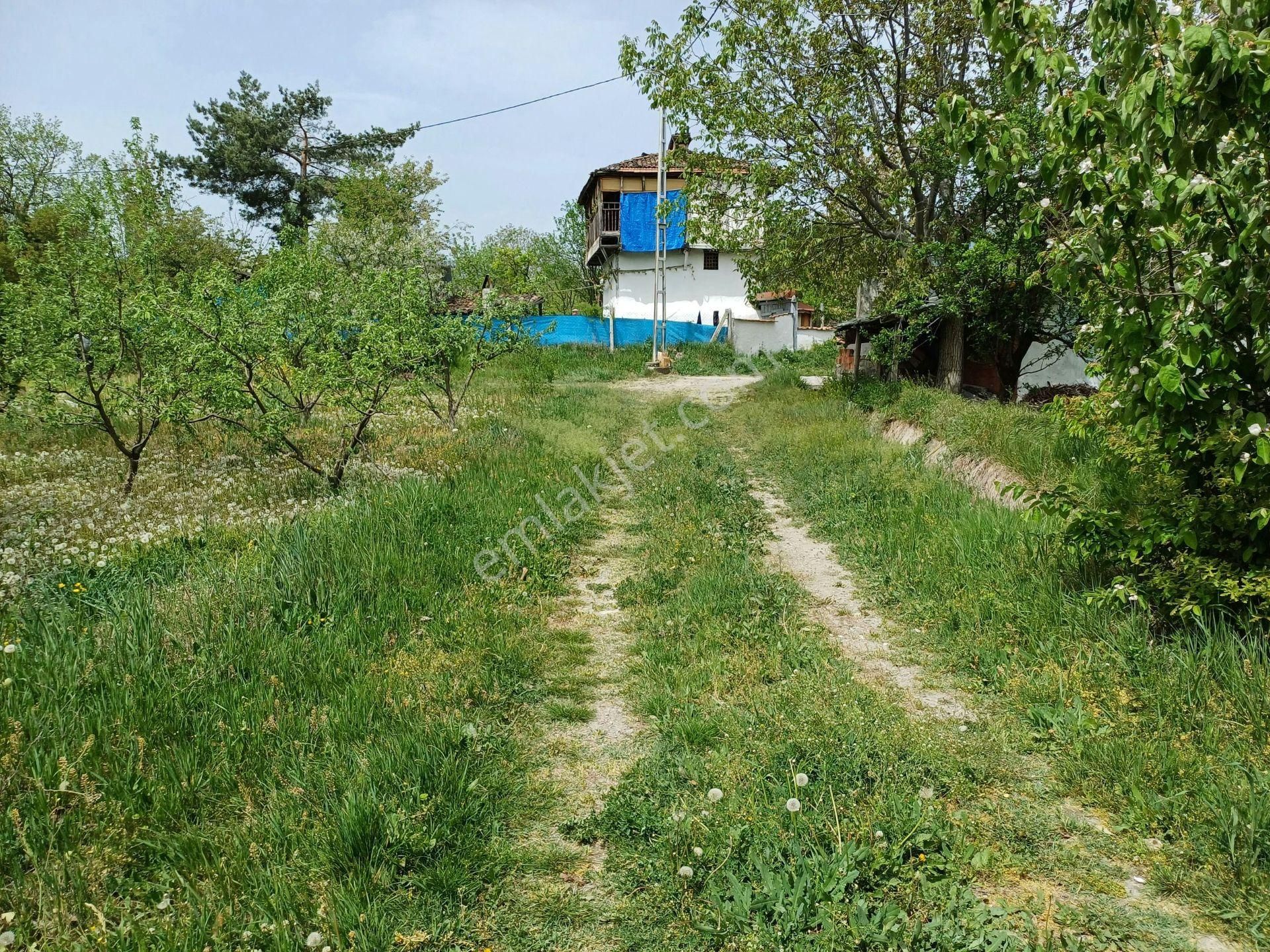 Kastamonu - Tosya Gökyer Mevkiinde Satılık 1,5 Dönüm Bağ