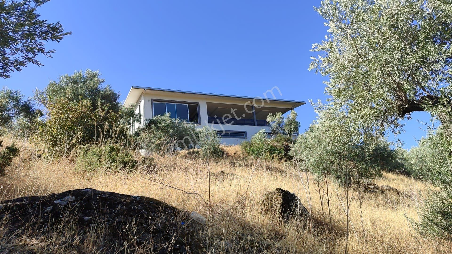 13 Dönüm Arazi İçerisinde Özel Yapım Satılık Müstakil Ev - Görsel 8