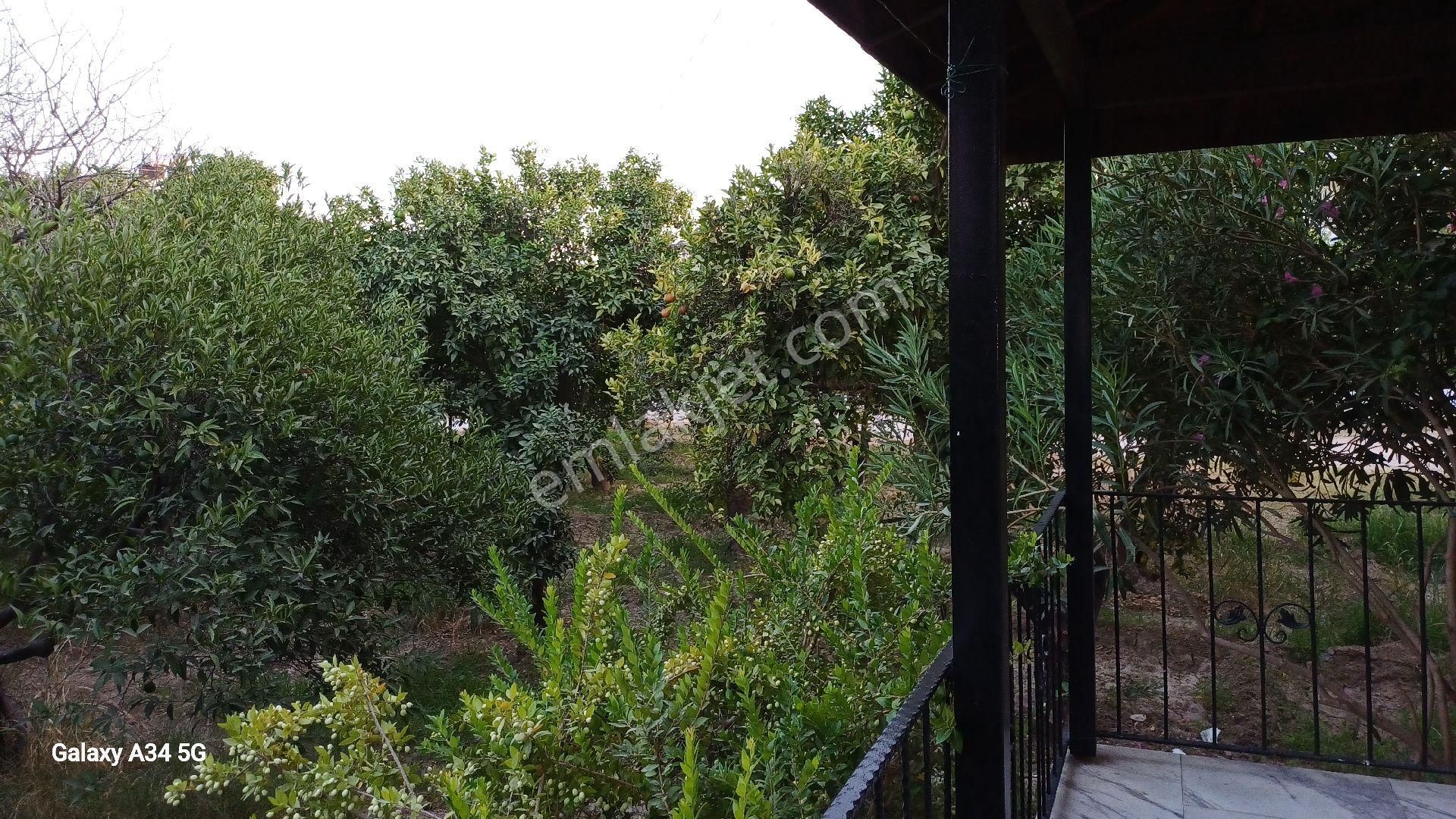 Muğla Milas Ören De Bahceli Müstakil 2 Ev 15,250 Bin Tl - Görsel 26