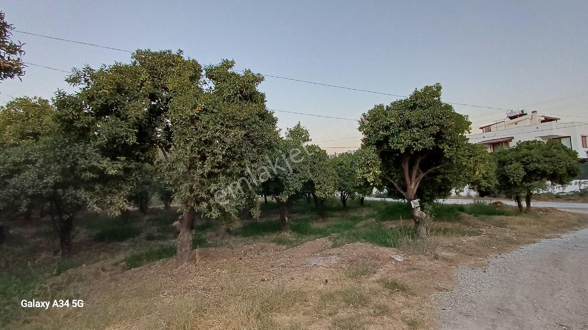 Muğla Milas Ören De Bahceli Müstakil 2 Ev 15,250 Bin Tl - Görsel 27