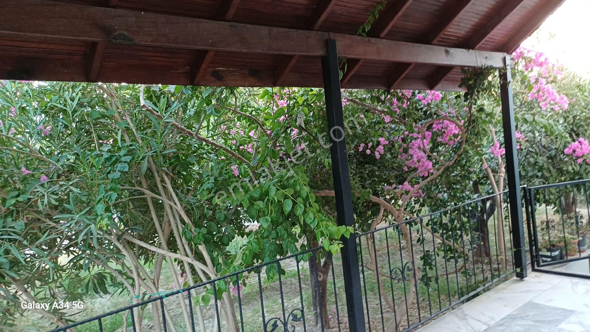 Muğla Milas Ören De Bahceli Müstakil 2 Ev 15,250 Bin Tl - Görsel 23