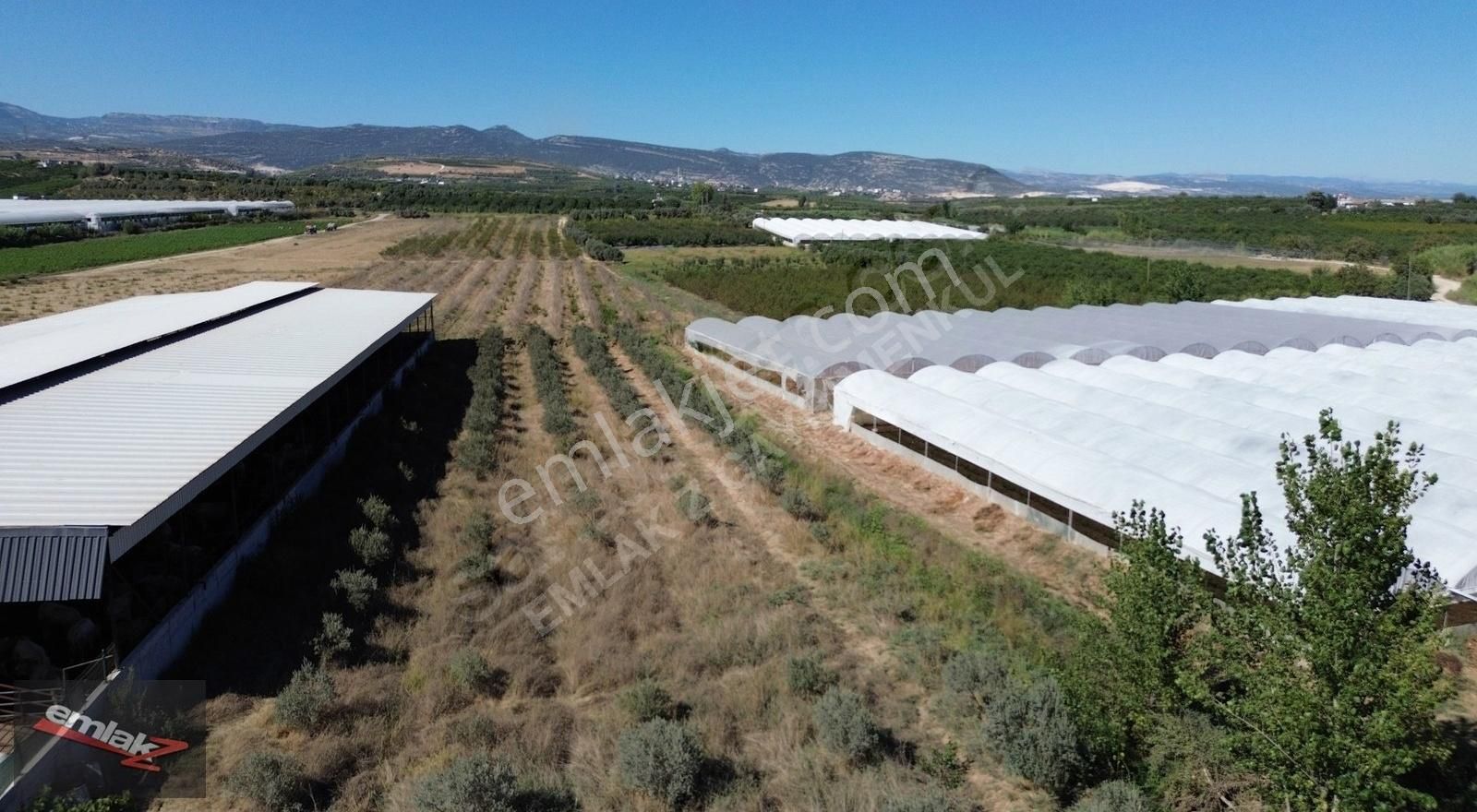 Emlak Z' Den ⫸ Ｆｉｒｓａt⫸ Akdamda 3 Dönüm Satılık Tarla - Görsel 8