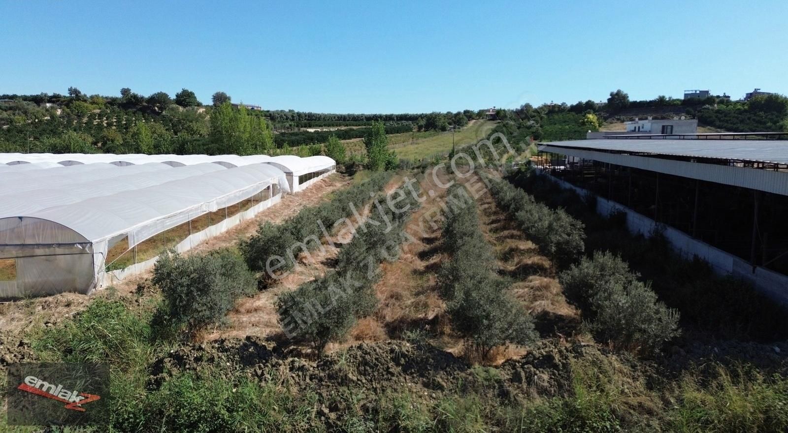 Emlak Z' Den ⫸ Ｆｉｒｓａt⫸ Akdamda 3 Dönüm Satılık Tarla