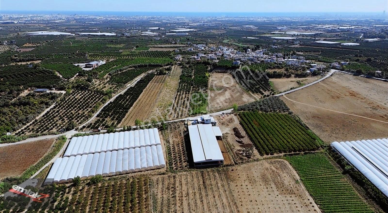 Emlak Z' Den ⫸ Ｆｉｒｓａt⫸ Akdamda 3 Dönüm Satılık Tarla - Görsel 6