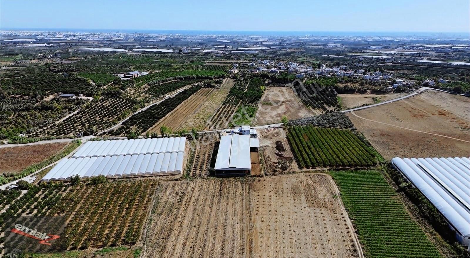 Emlak Z' Den ⫸ Ｆｉｒｓａt⫸ Akdamda 3 Dönüm Satılık Tarla - Görsel 7