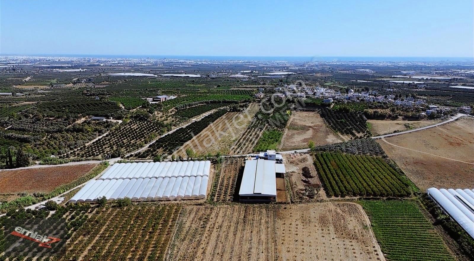 Emlak Z' Den ⫸ Ｆｉｒｓａt⫸ Akdamda 3 Dönüm Satılık Tarla - Görsel 2