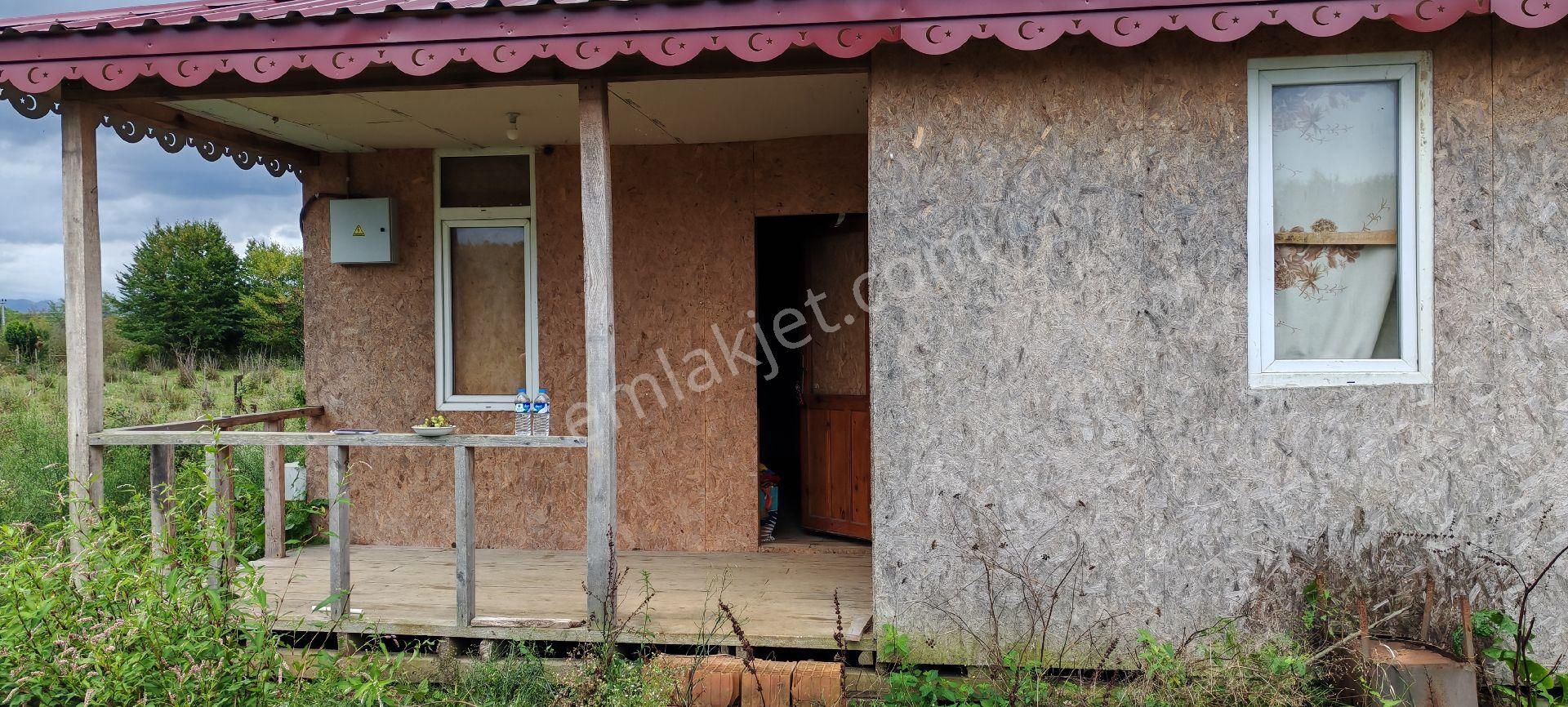 Samsun Terme Yenıcamıde Evi Olan Satılık Fındık Bahcesı - Görsel 4