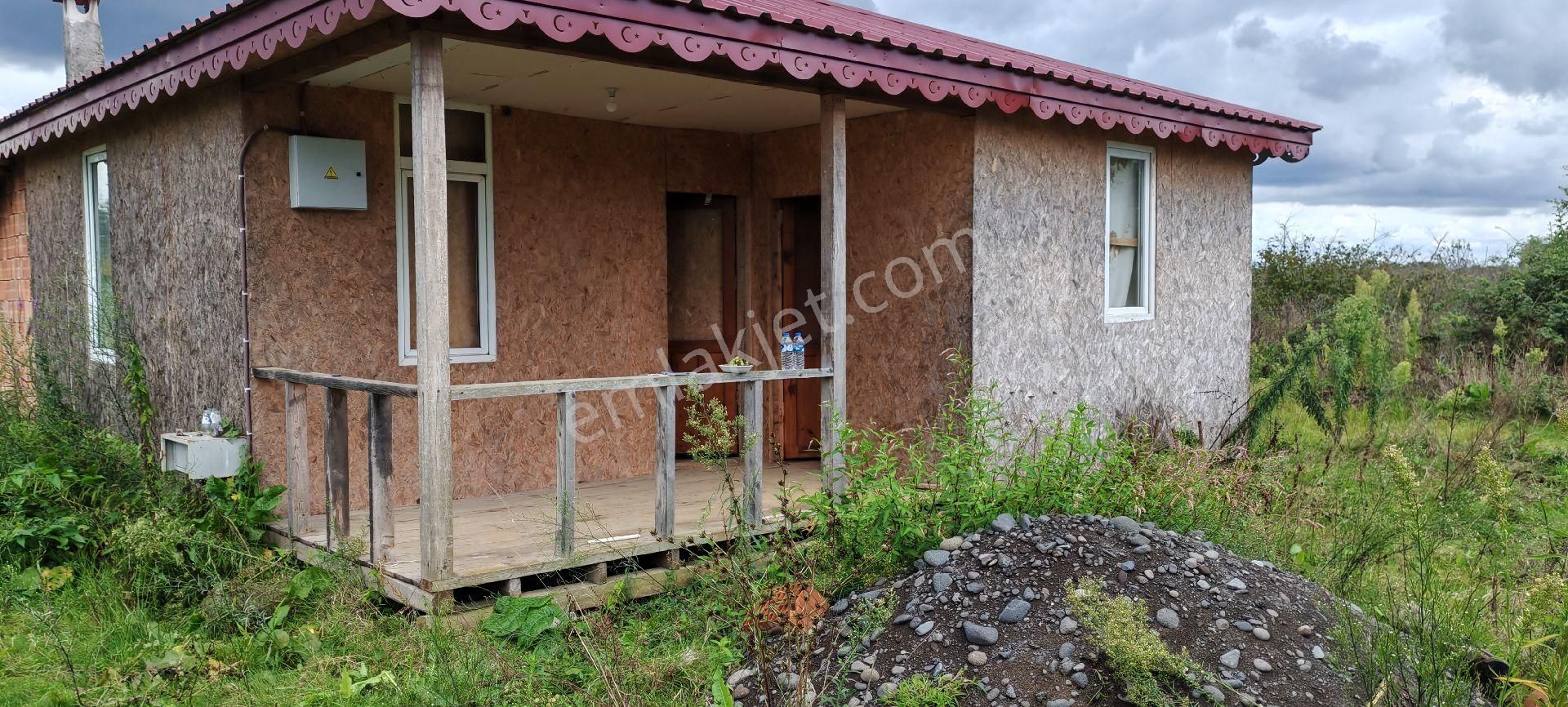 Samsun Terme Yenıcamıde Evi Olan Satılık Fındık Bahcesı - Görsel 3