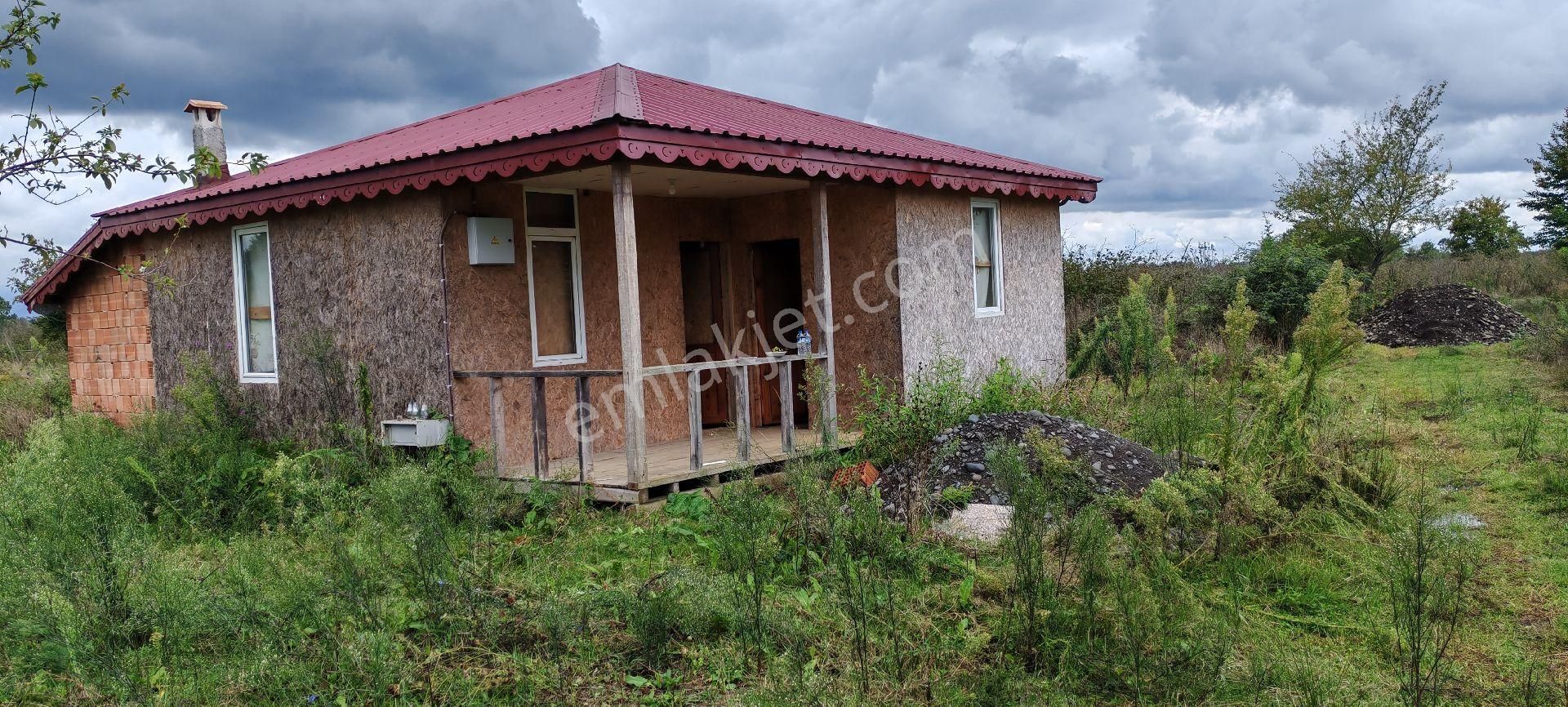 Samsun Terme Yenıcamıde Evi Olan Satılık Fındık Bahcesı - Görsel 9