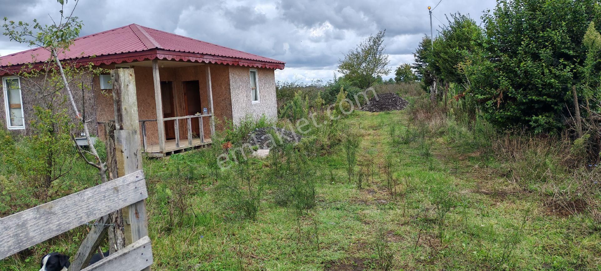Samsun Terme Yenıcamıde Evi Olan Satılık Fındık Bahcesı - Görsel 11