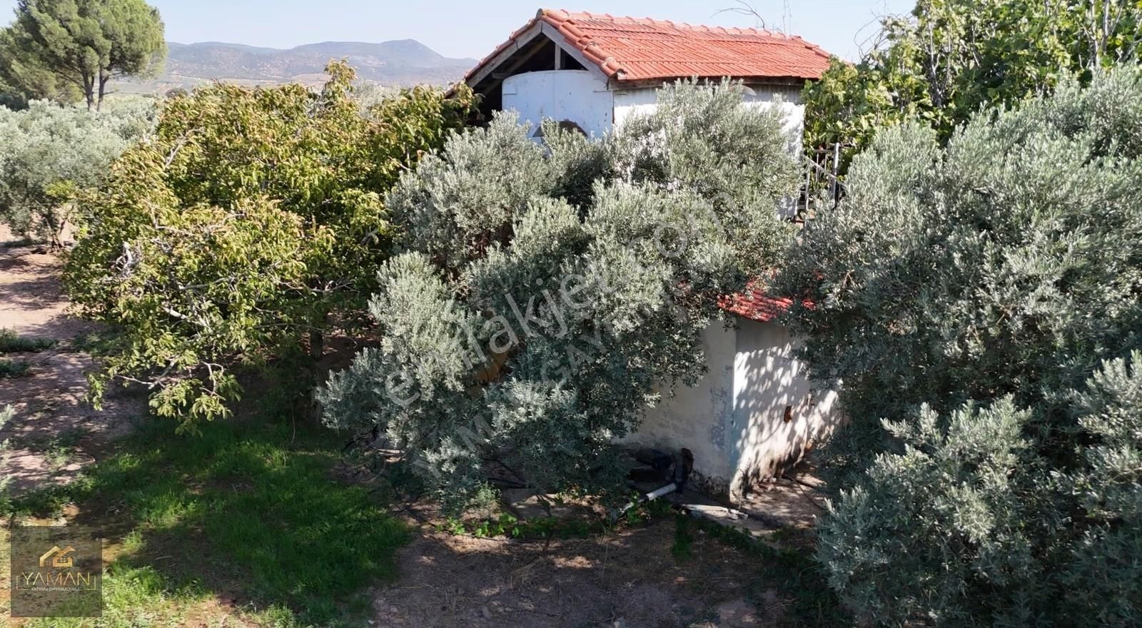Hacıishak Mah. 49.699 M² Yeraltı Sulama Sis. Satılık Zeytinlik - Görsel 35