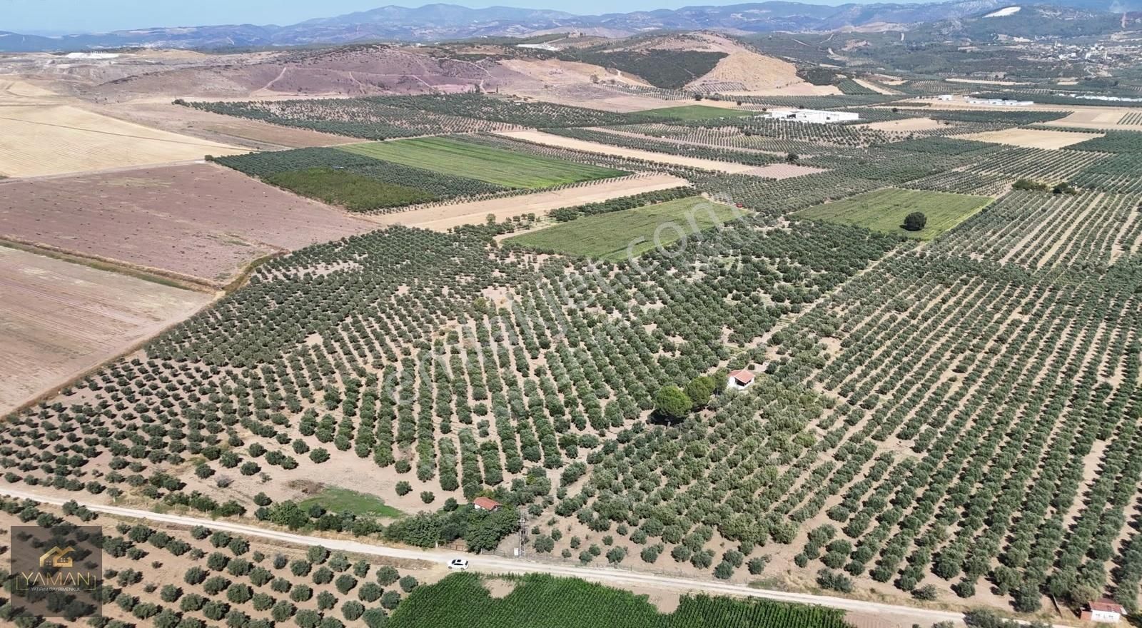 Hacıishak Mah. 49.699 M² Yeraltı Sulama Sis. Satılık Zeytinlik - Görsel 21