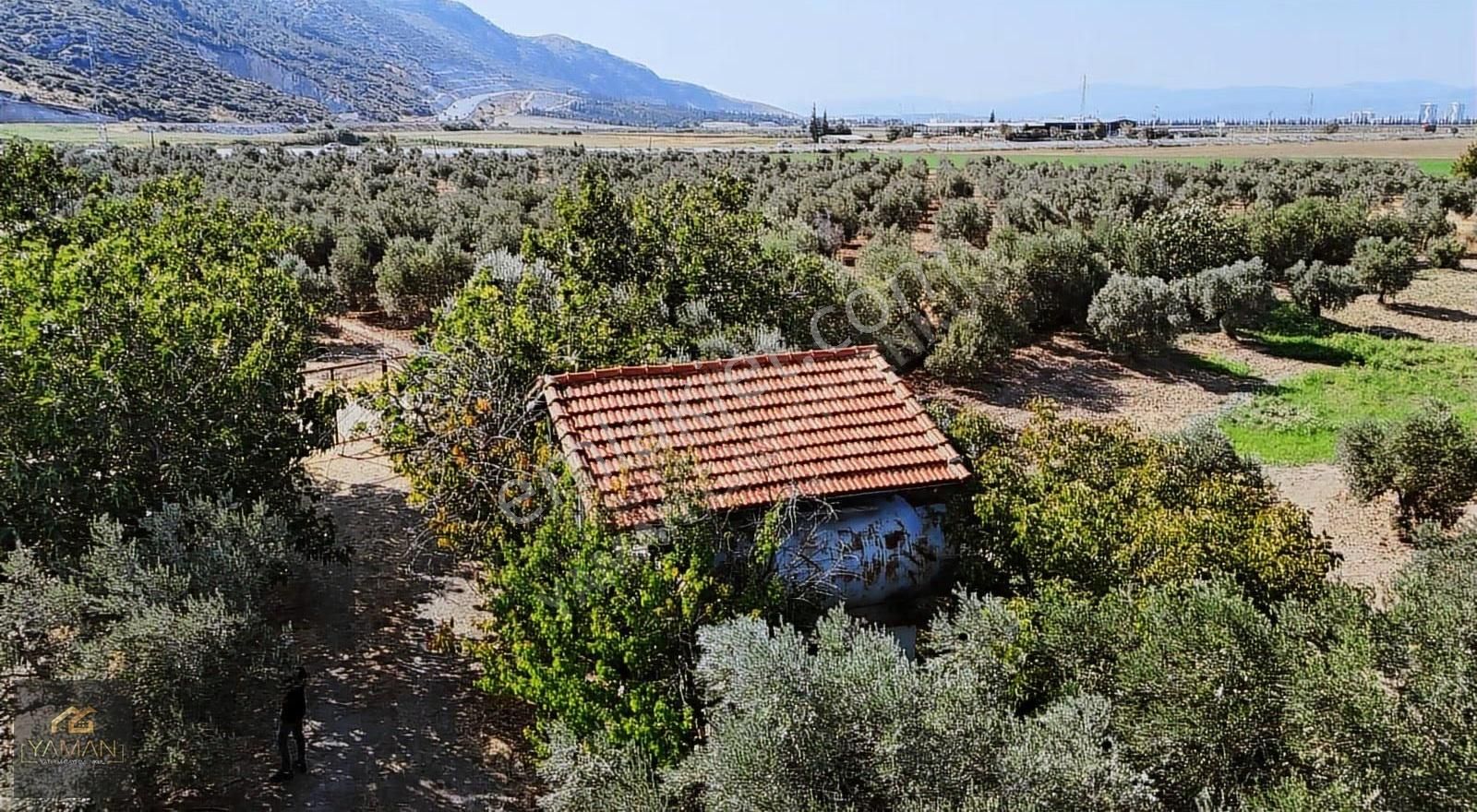Hacıishak Mah. 49.699 M² Yeraltı Sulama Sis. Satılık Zeytinlik - Görsel 25