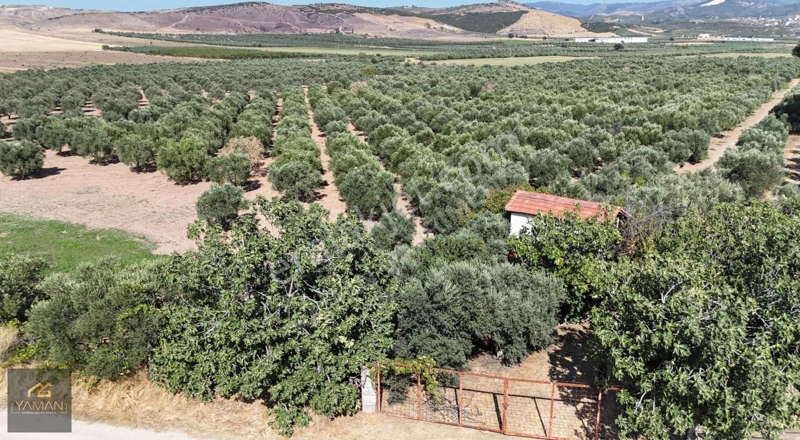 Hacıishak Mah. 49.699 M² Yeraltı Sulama Sis. Satılık Zeytinlik - Görsel 15