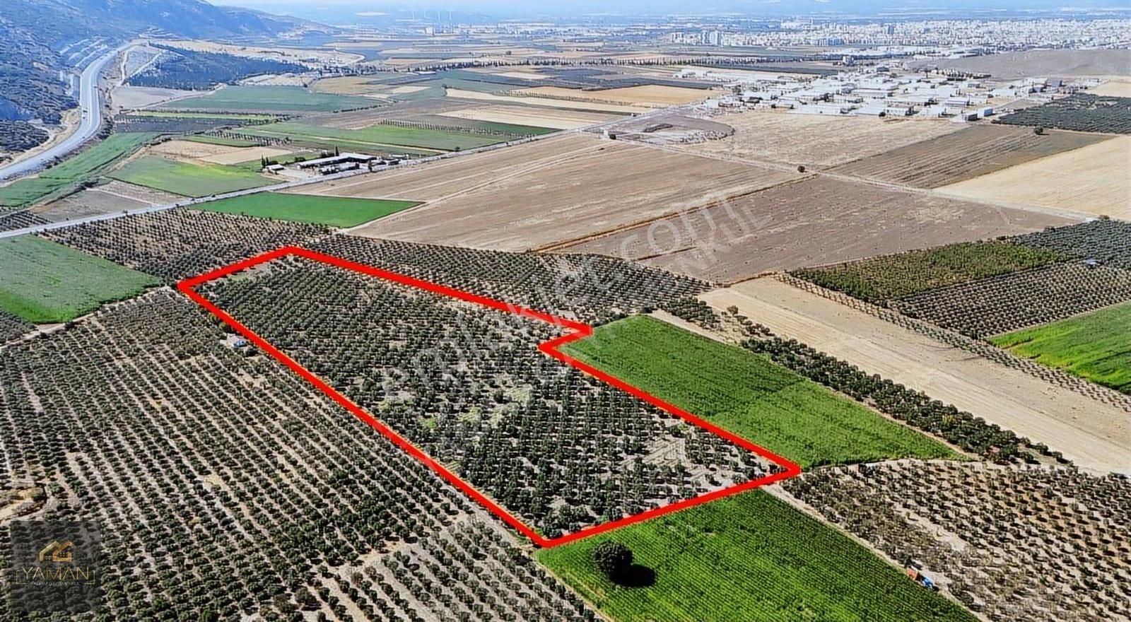 Hacıishak Mah. 49.699 M² Yeraltı Sulama Sis. Satılık Zeytinlik - Görsel 22