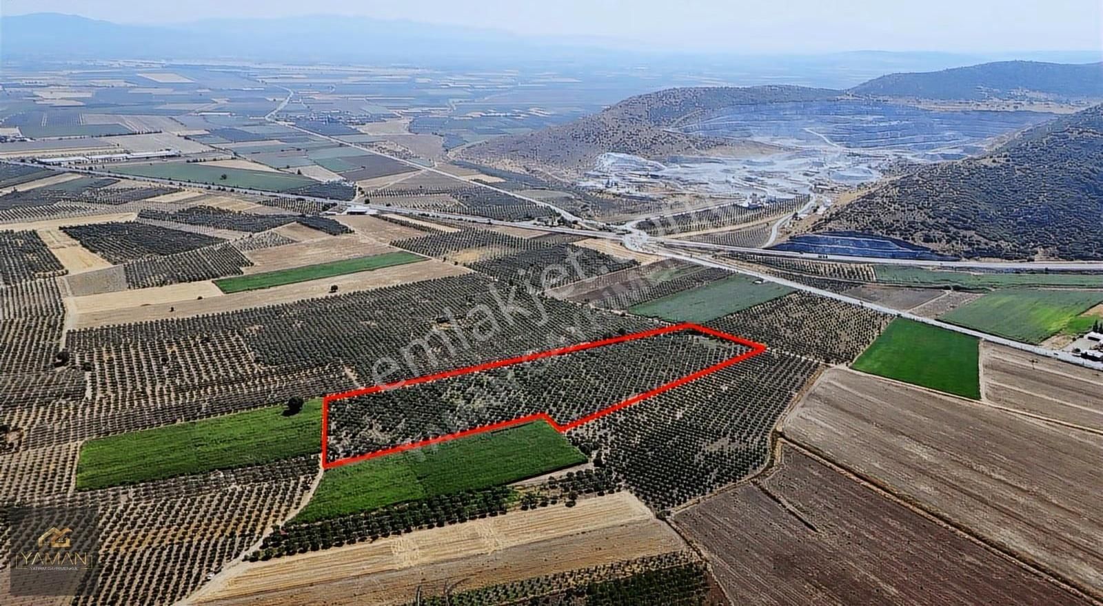 Hacıishak Mah. 49.699 M² Yeraltı Sulama Sis. Satılık Zeytinlik - Görsel 20